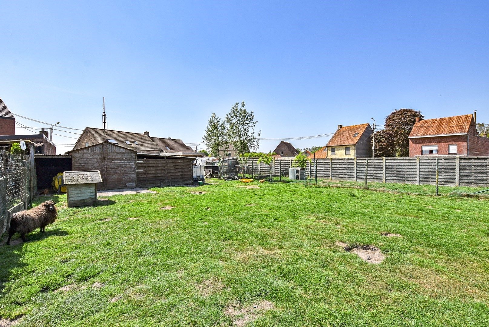 Halfopen bebouwing met 3 slaapkamers op 861m² te Diksmuide! foto 21