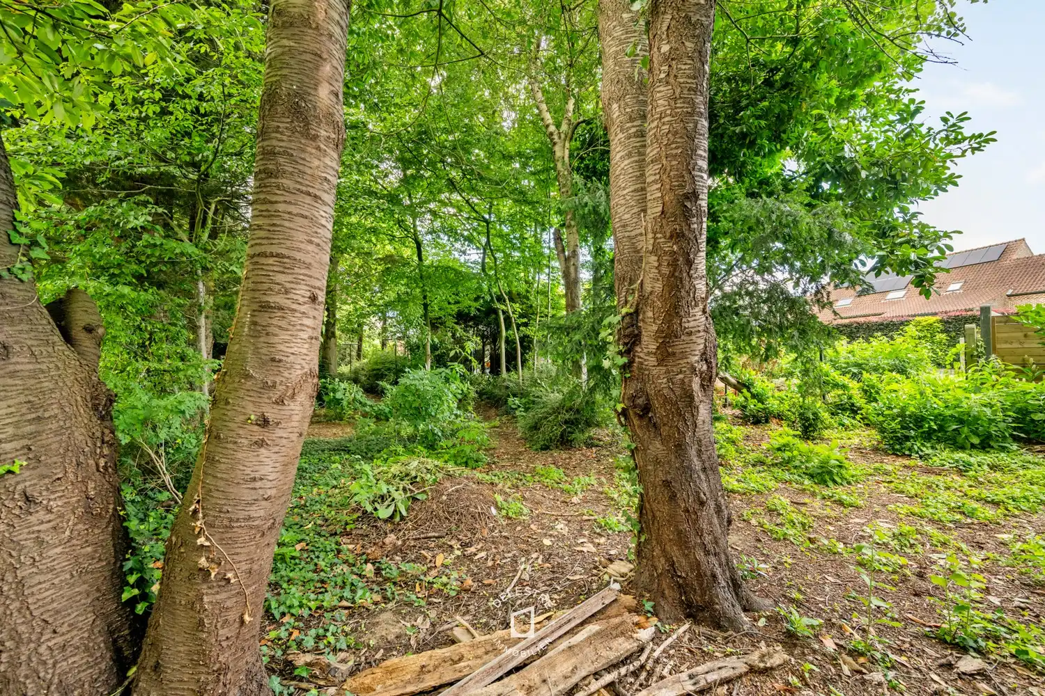Ruimte, rust en potentieel: solide gezinswoning met volledige onderkeldering op 1.156 m² foto 18
