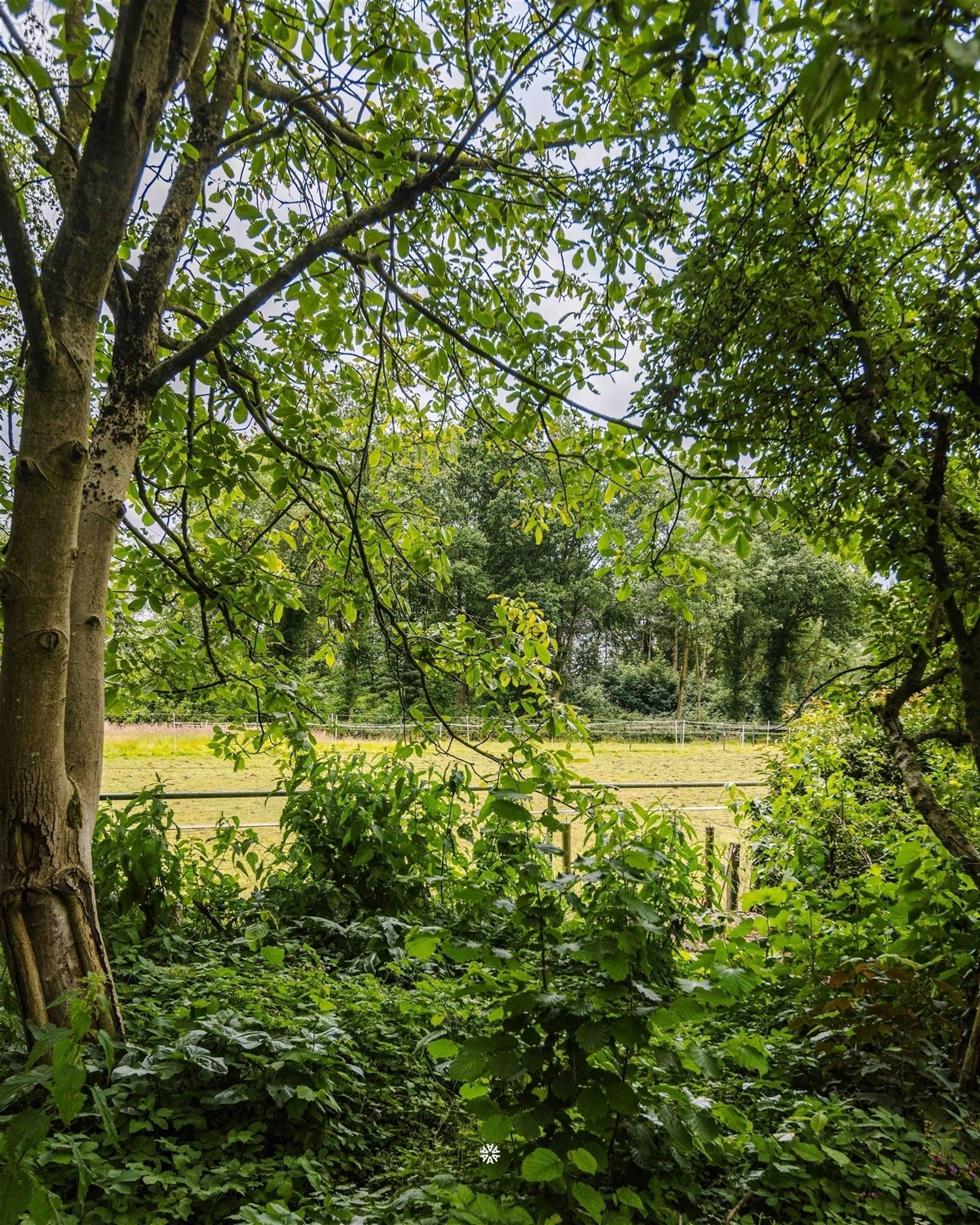 Riante en unieke woning met landelijk uitzicht te Belsele foto 27