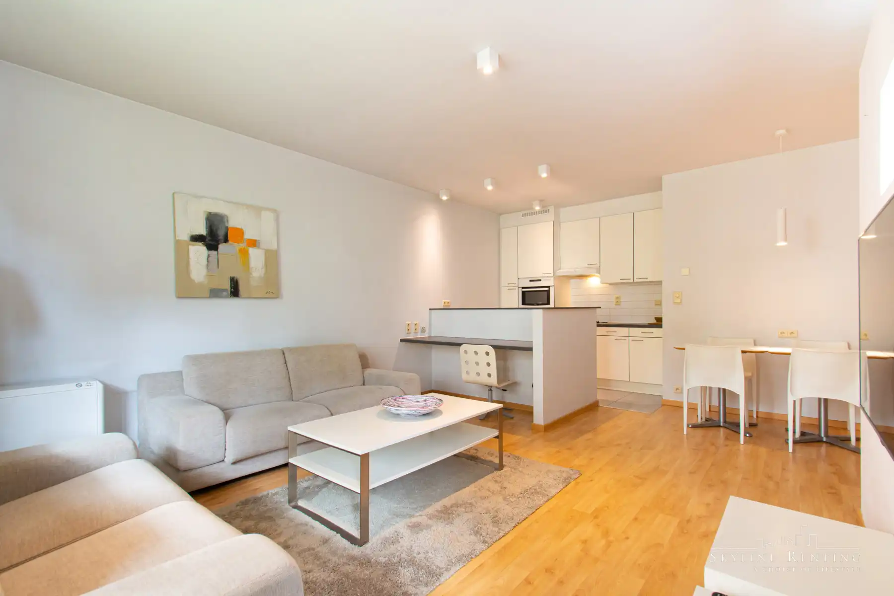 Prachtig gemeubeld 1 kamer appartement (Park van Woluwe) foto 4