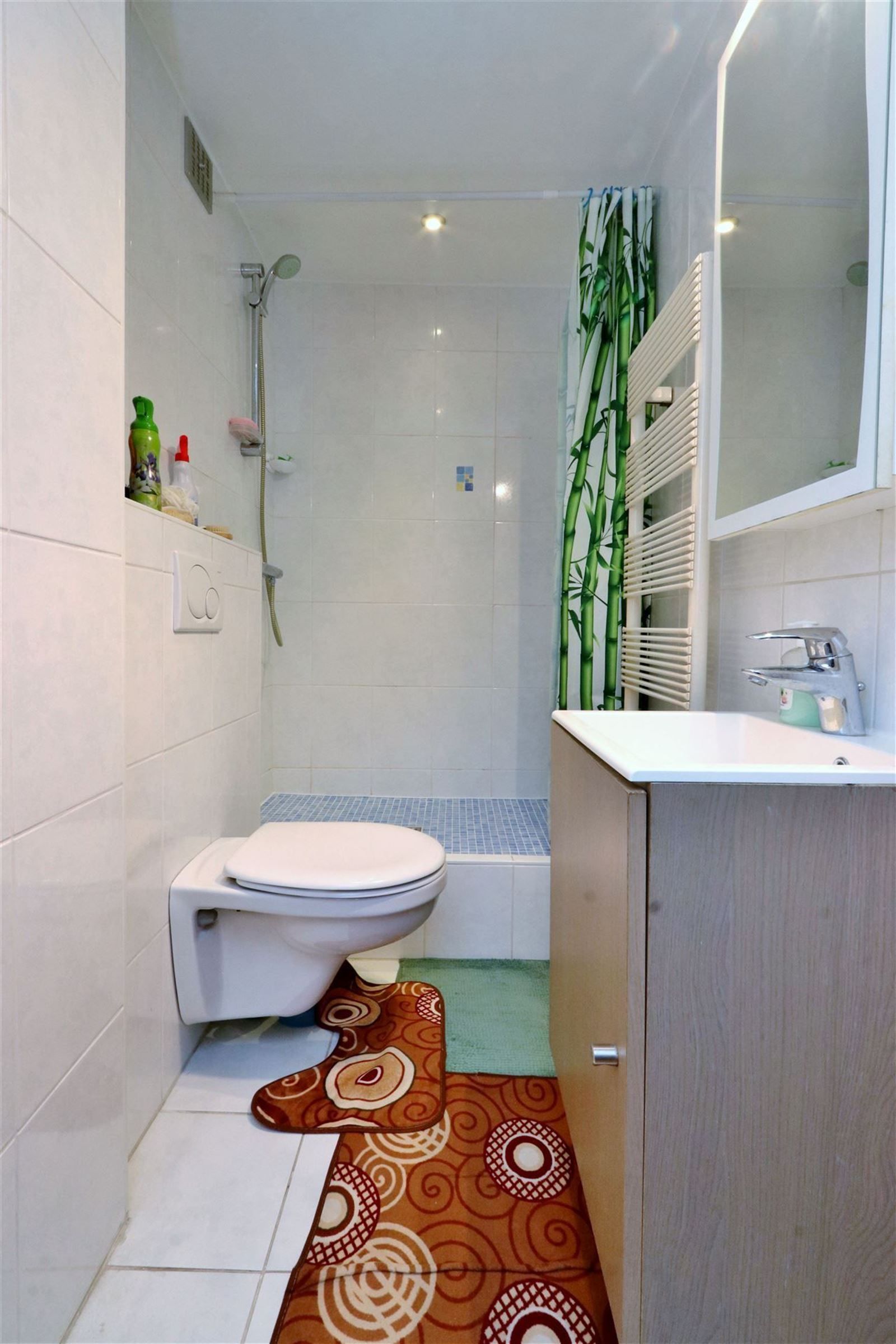 Appartement met 1 slaapkamer en kelder foto 9
