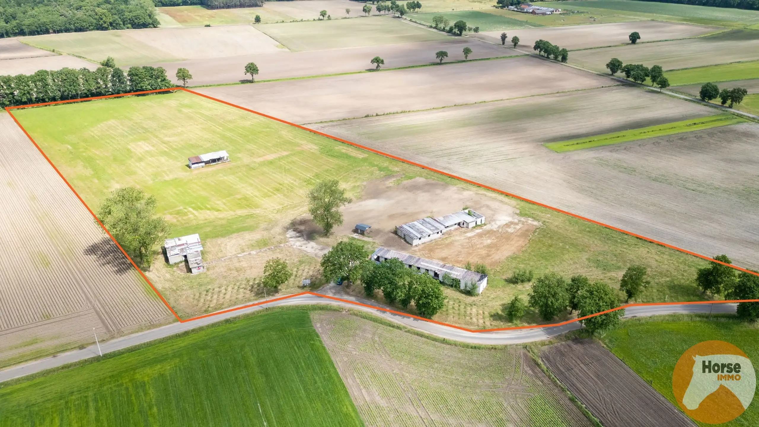 BOCHOLT - Weide met stalgebouwen op +/- 4ha35a foto 4