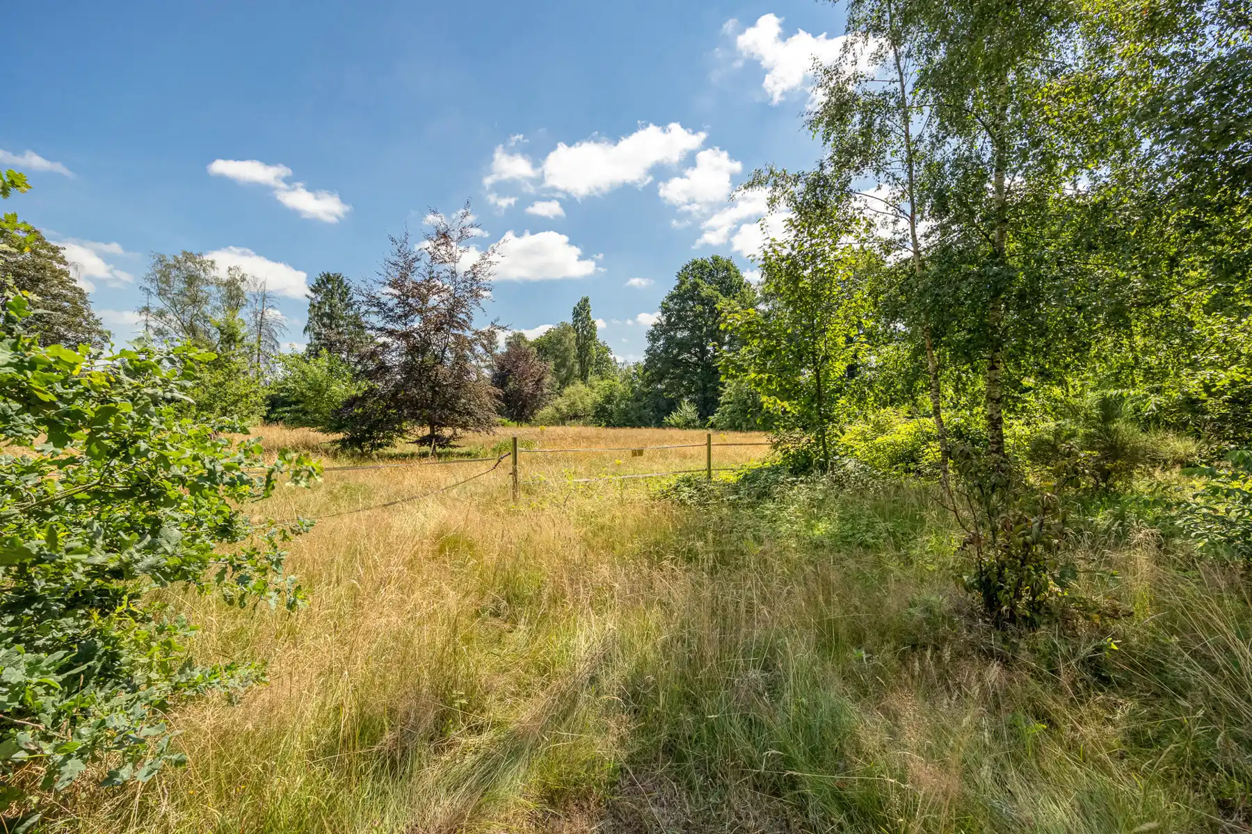 UNIEK PAARDENDOMEIN OP 28.870 M² foto 22