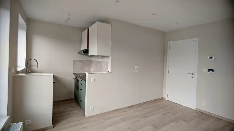 Mooi gerenoveerd éénslaapkamer appartement foto 2