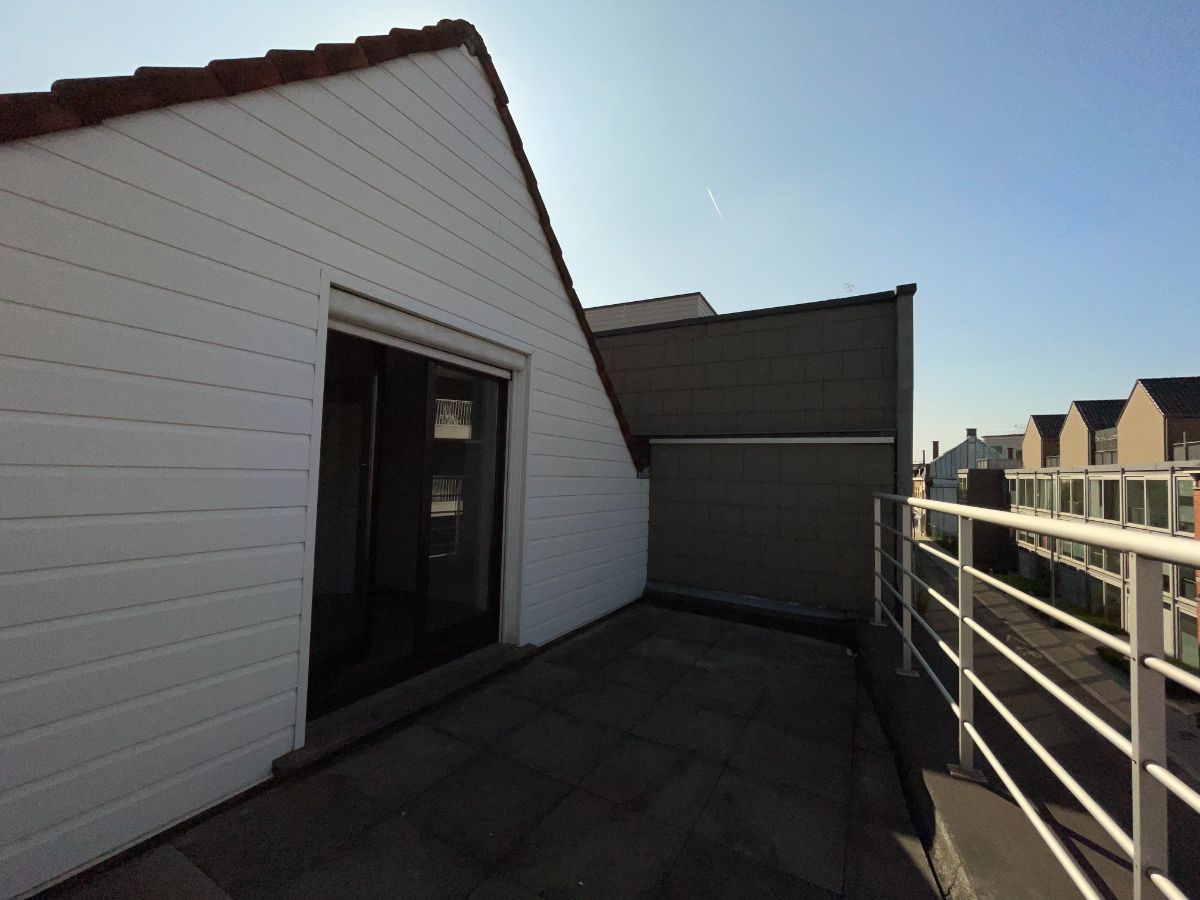 Ruim duplex-appartement + terrassen & garage foto 26