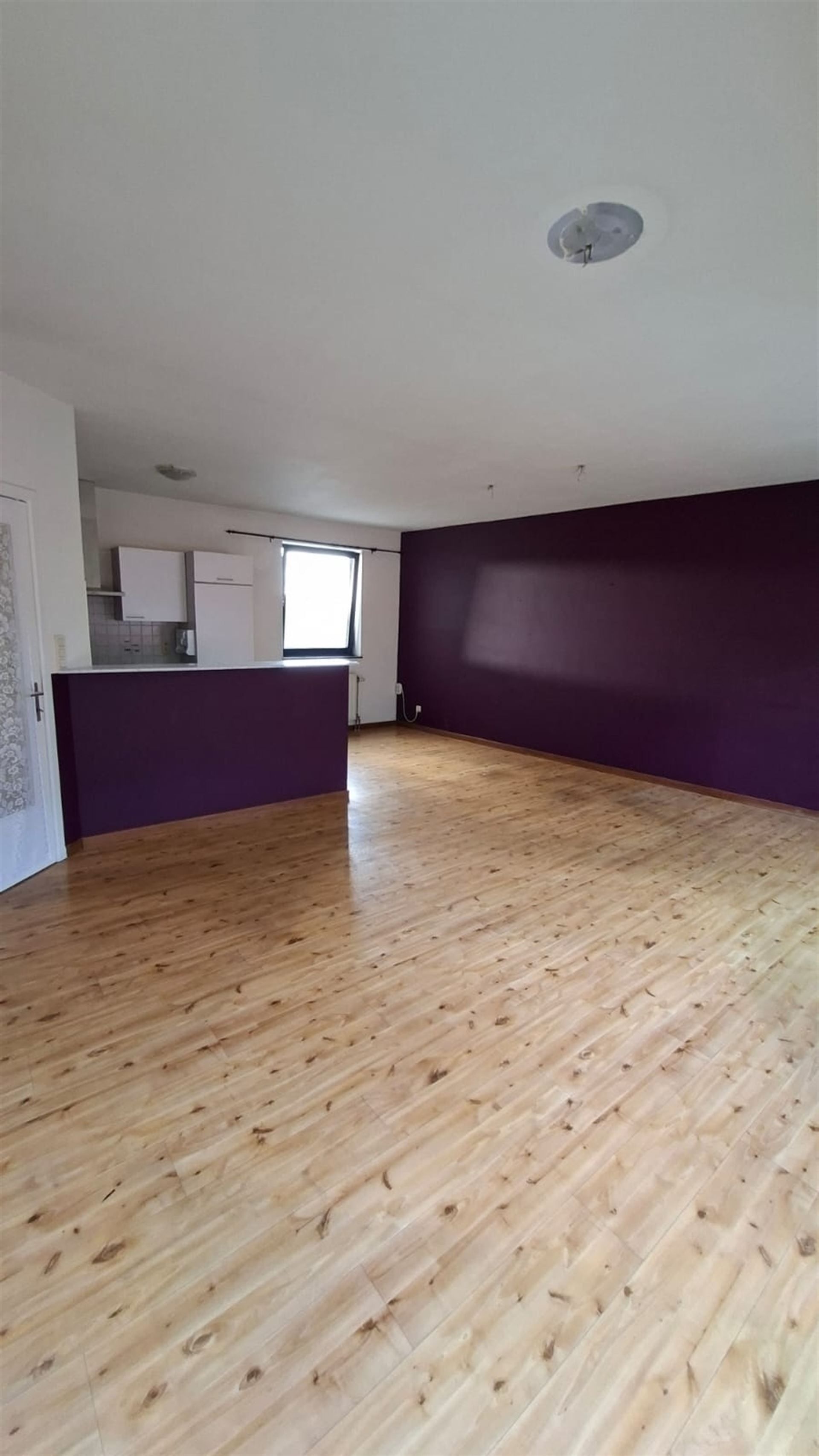 Gezellig appartement met ruim terras in centrum Boom! foto 4