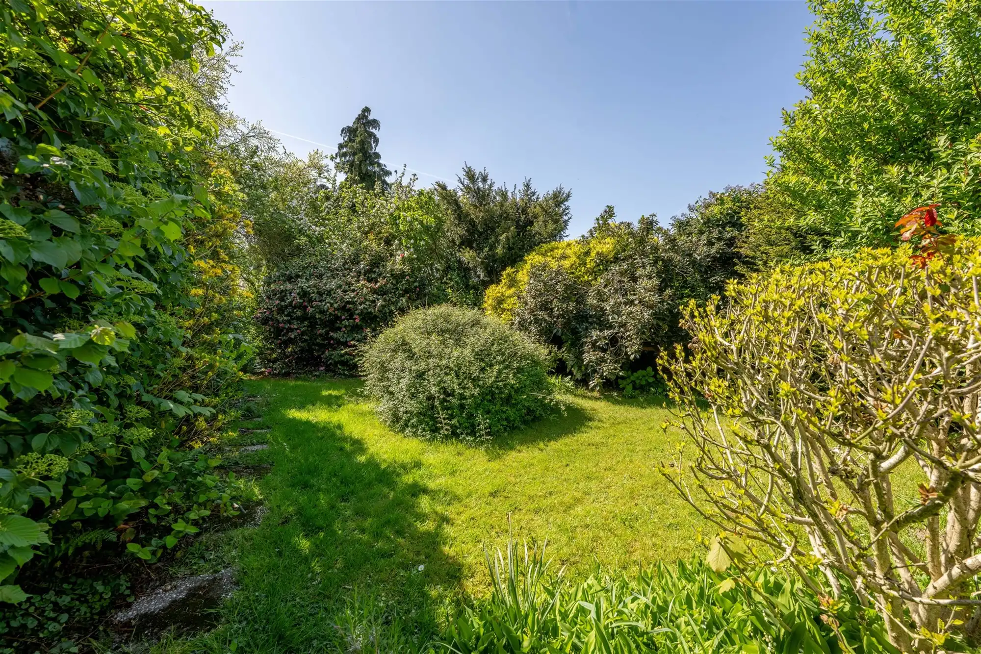 Halfopen woning met 5 slaapkamers foto 2