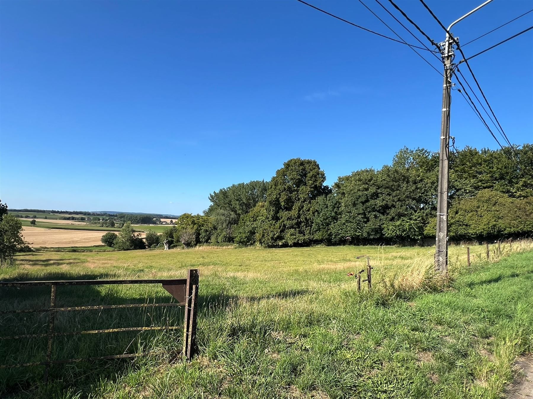 ()=>{if(producerUpdateValueVersion(node),producerAccessed(node),node.value===ERRORED)throw node.error;return node.value} Rue le Haut - 7533 THIMOUGIES