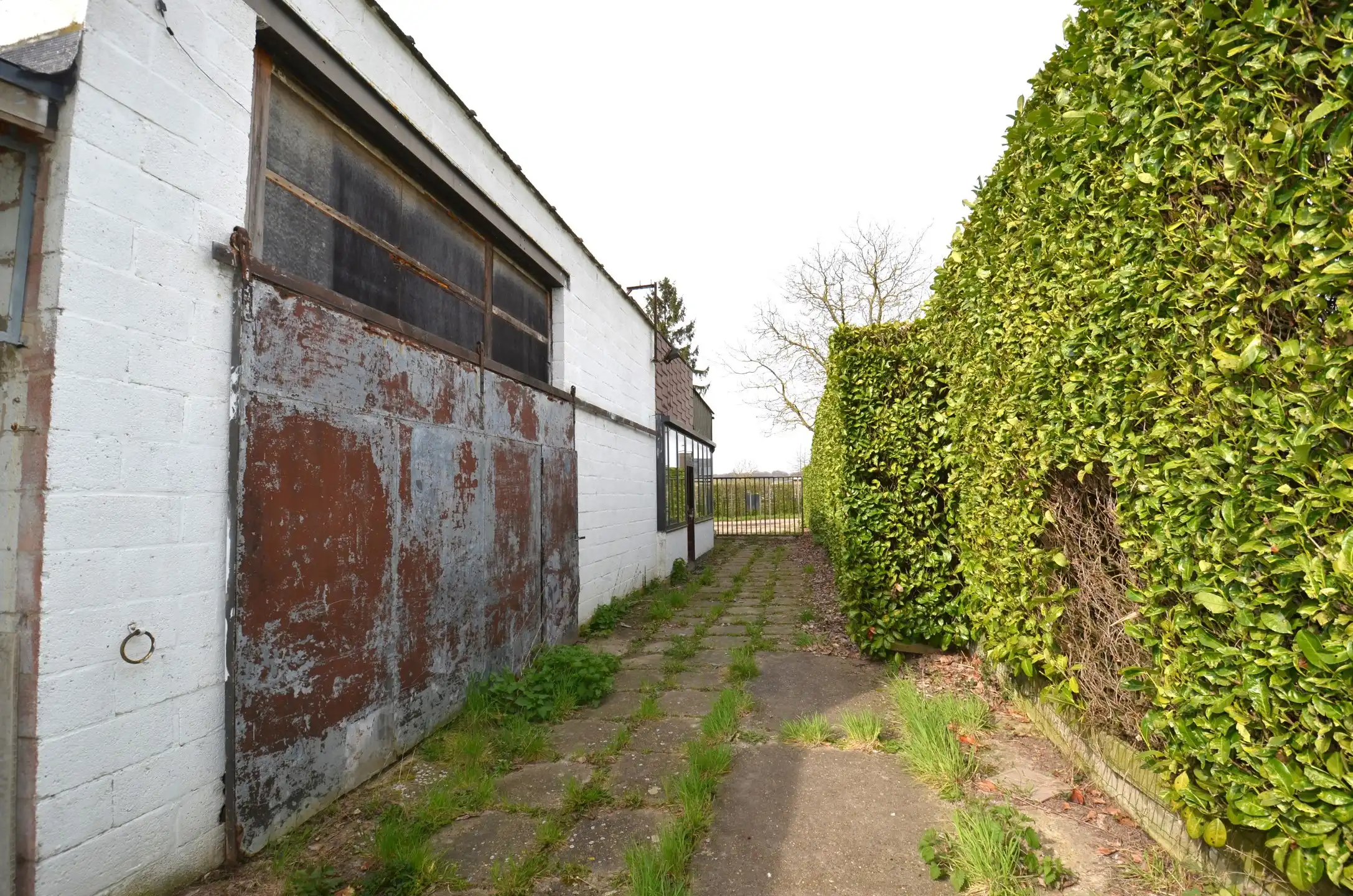 Magazijn met bijhorende weiland foto 10