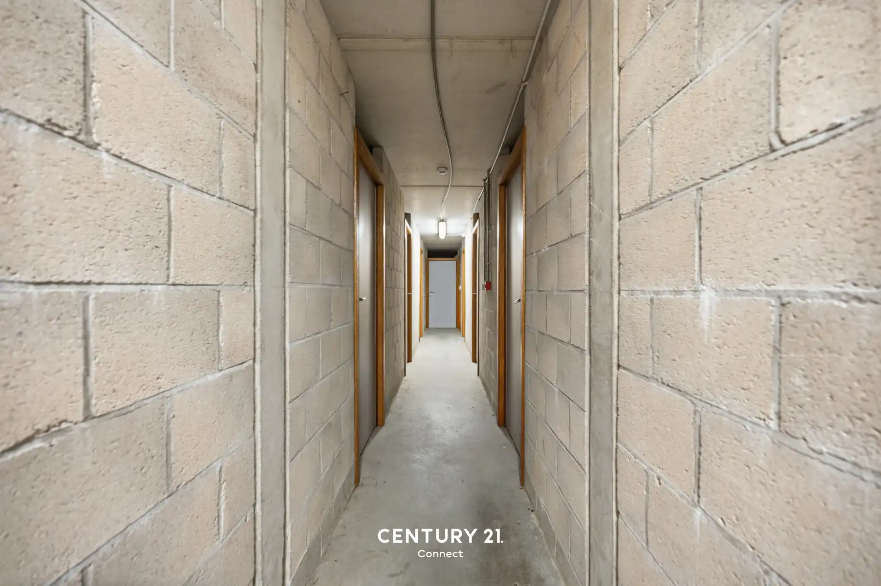 Penthouse met 3 slaapkamers en staanplaats in Leuven. foto 16