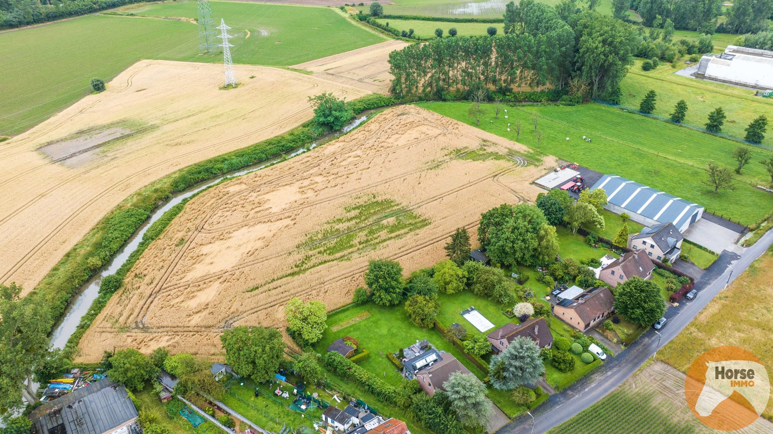 LOT (Beersel) - Unieke Woning met zeer grote loods op 2,1ha foto 4