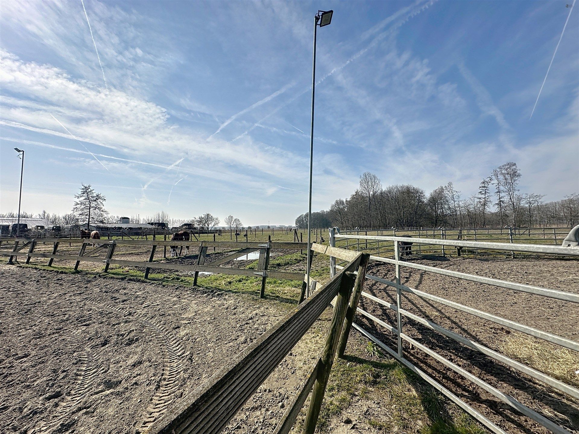 PRACHTIG GELEGEN HOEVE met bijgebouw, paardenstallen, binnenpiste en weiden op 18.385m² foto 48
