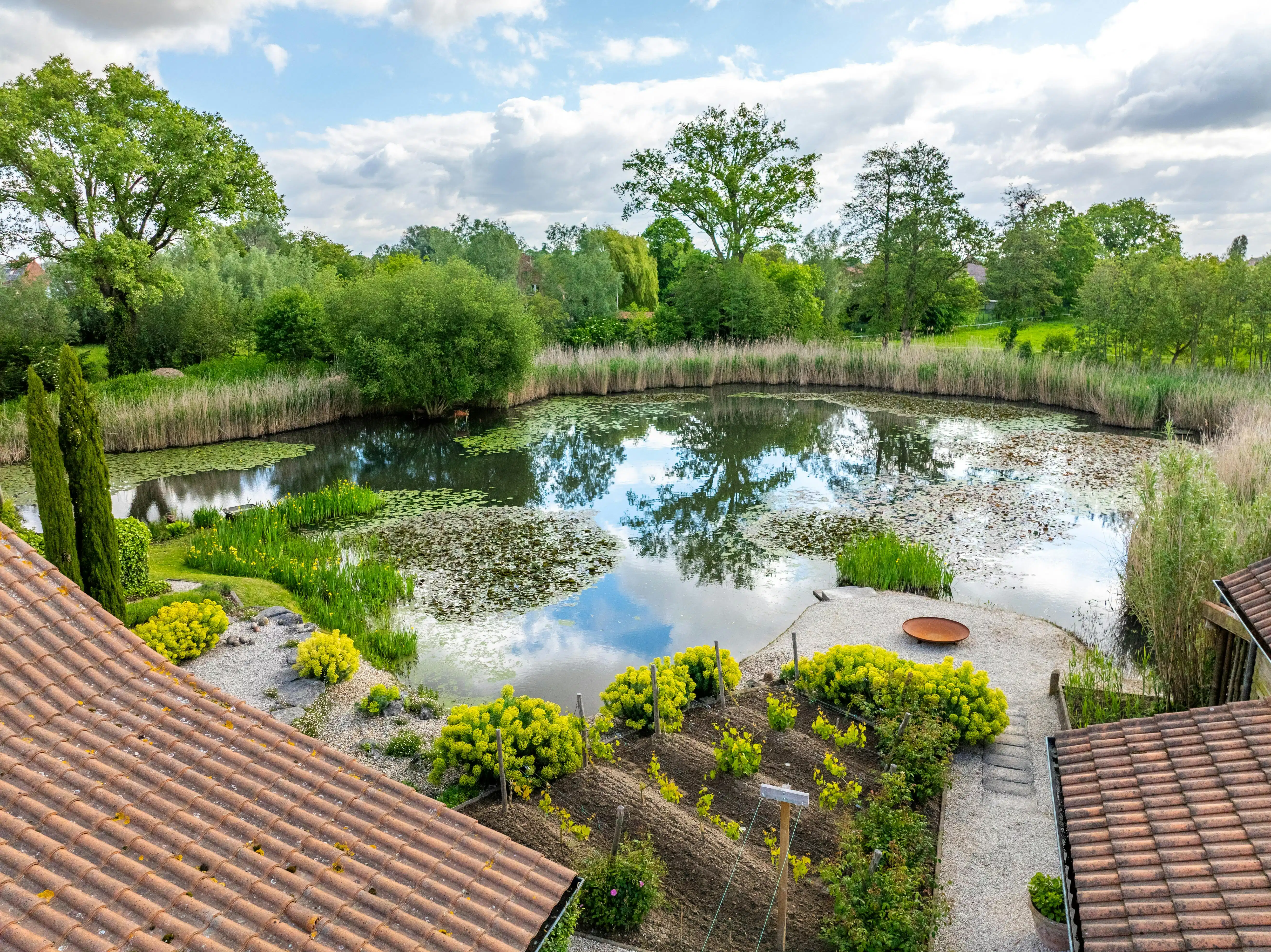 Alleenstaand huis te Meulebeke met prachtige tuin en vijver! foto 21