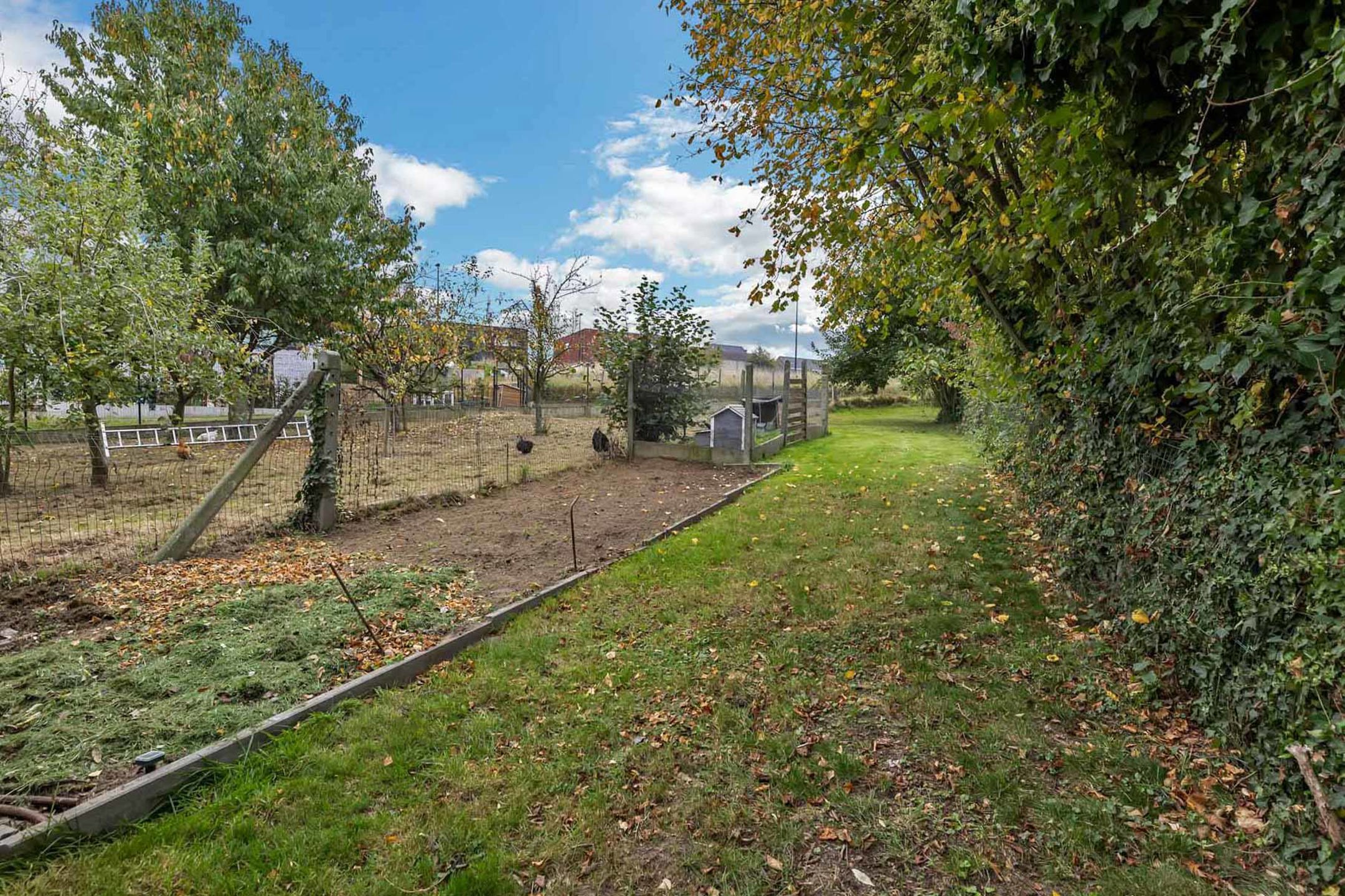 Energiezuinige woning met zuidtuin in Geraardsbergen foto 26