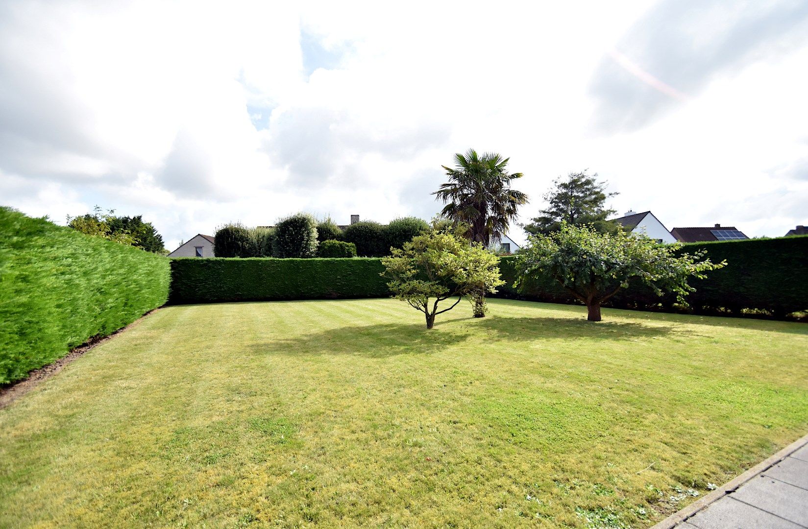 Alleenstaande woning op top locatie in residentiële wijk " De Noordhoek" foto 5