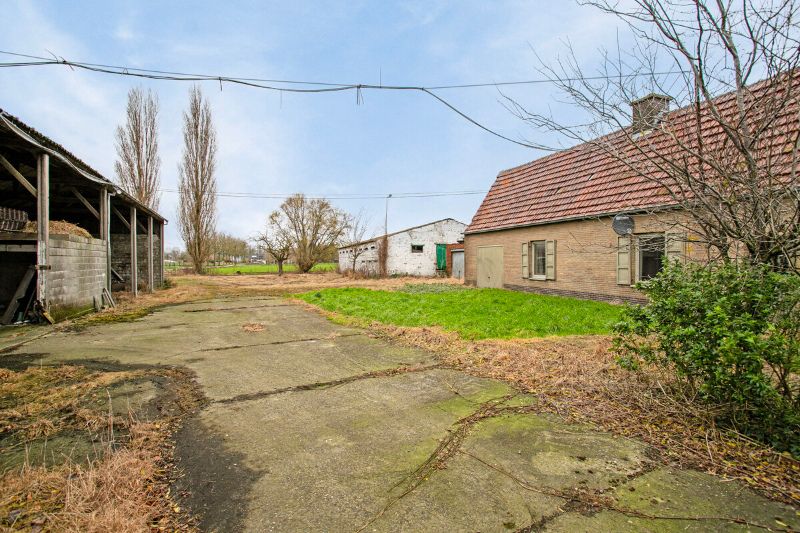 Uniek domein op 1 hectare in Landegem foto 10