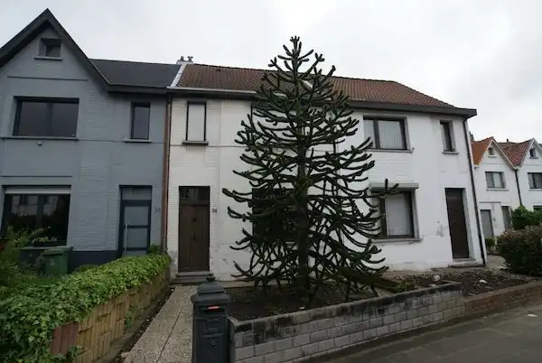 Huis te koop foto {{pictureIndex}}