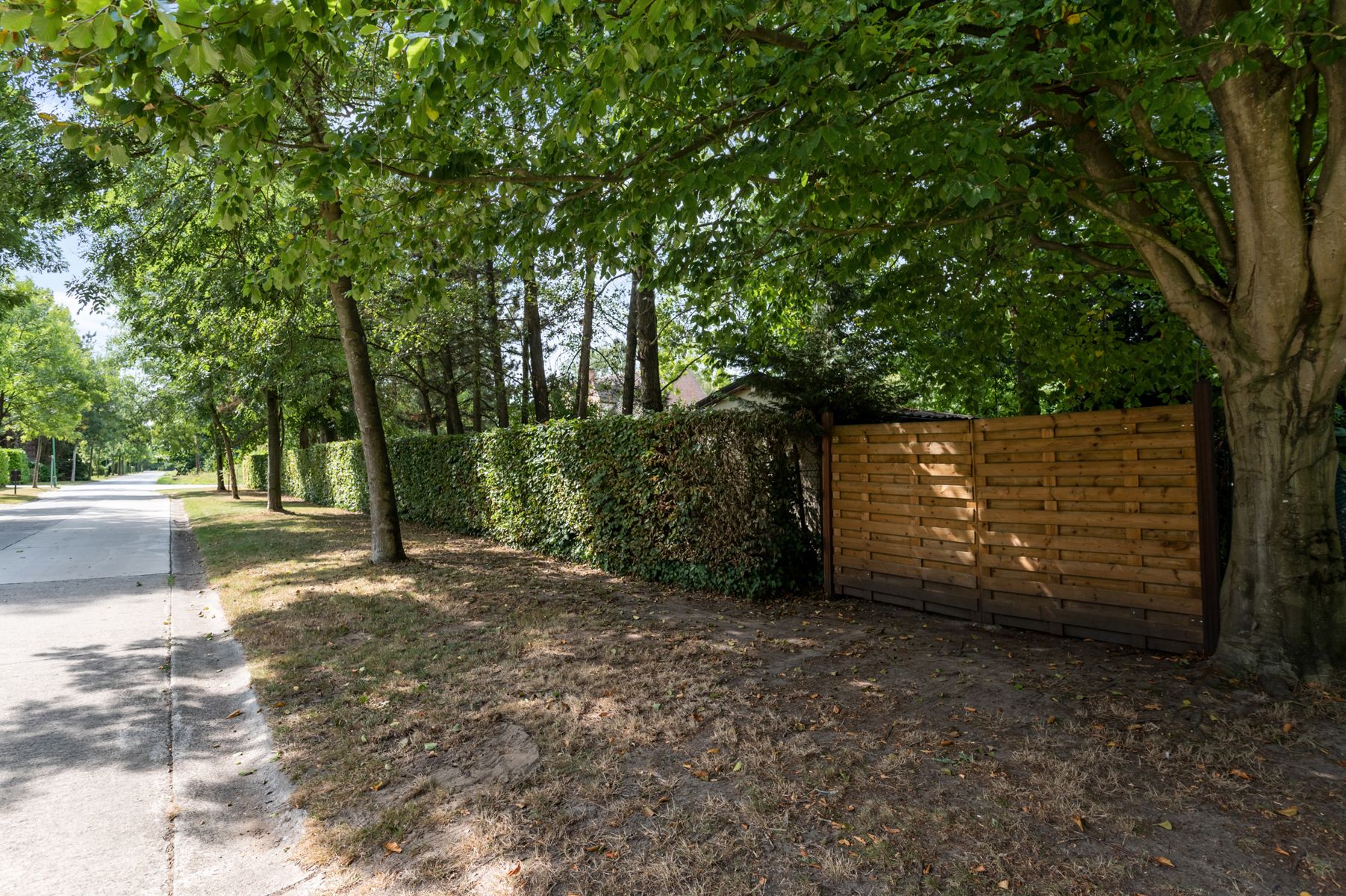 Ruime villa met aparte praktijkruimte op ca. 2.168 m2. foto 32