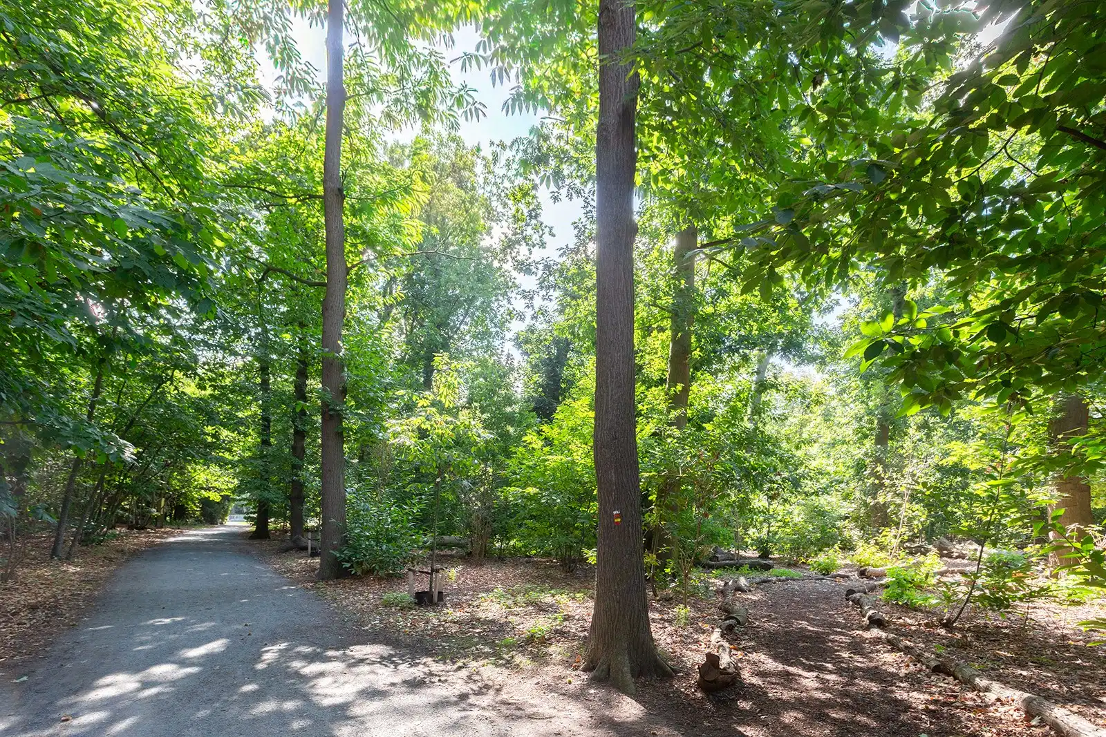 Stijlvol vernieuwd aan het Nachtegalenpark foto 30