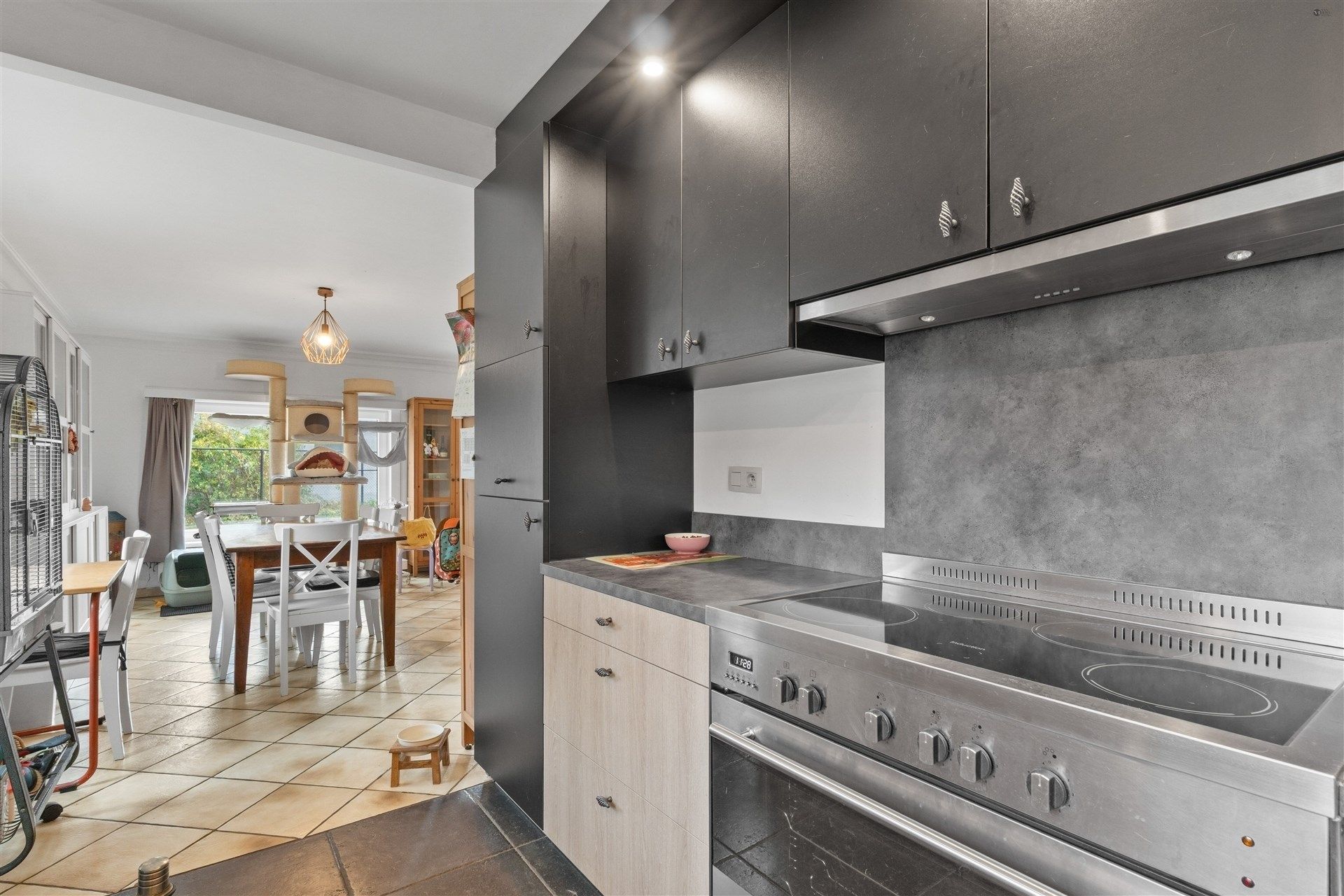 Open bebouwing + stallen op 11.268m² foto 8