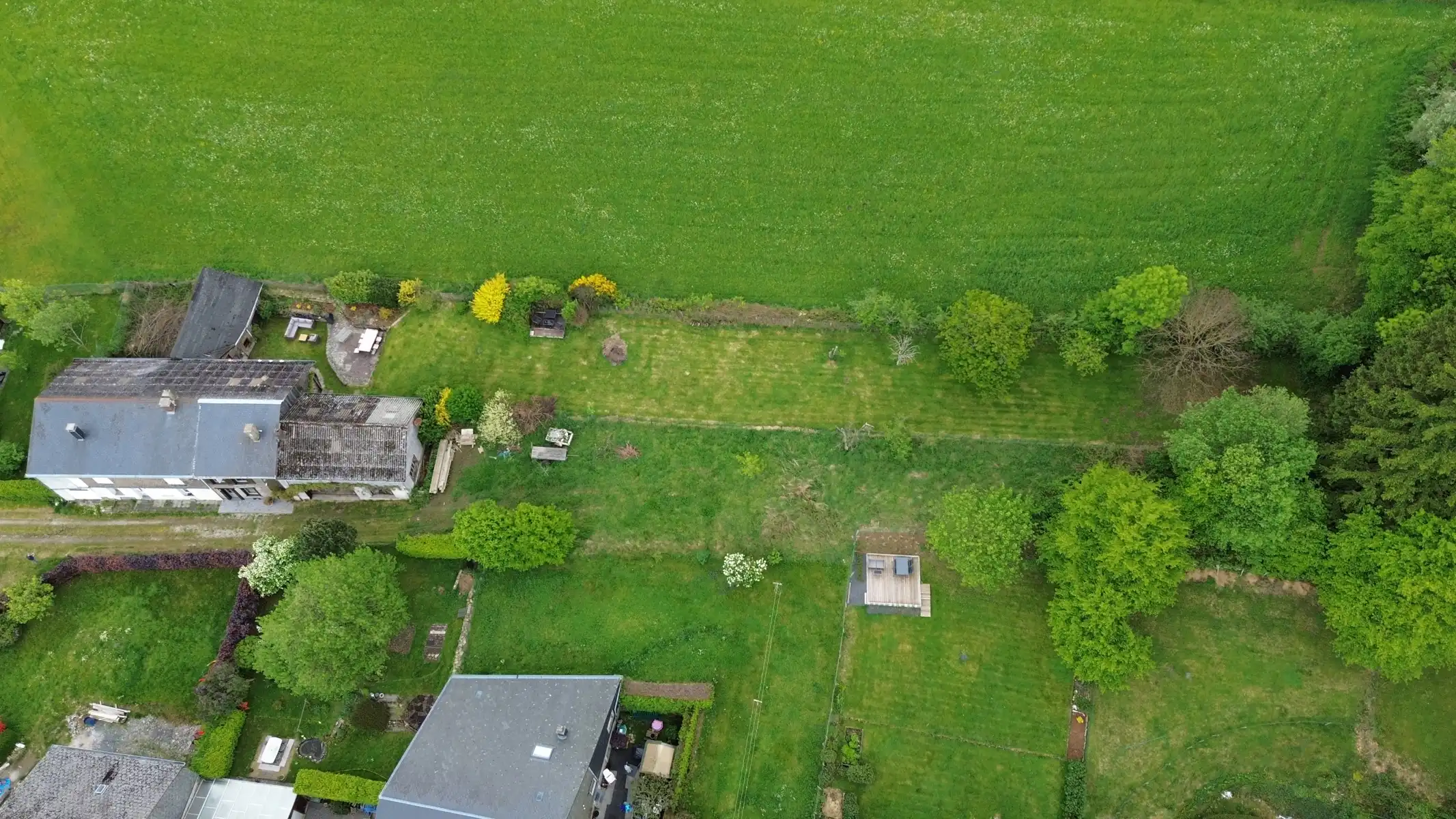 Huis te koop foto 3