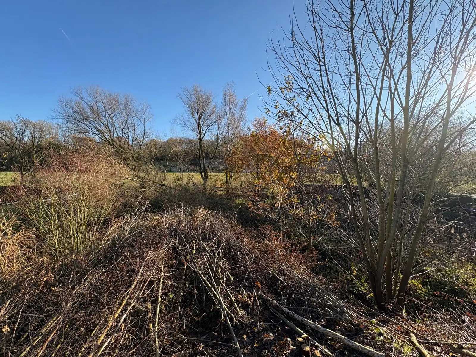 Grond te koop foto 3