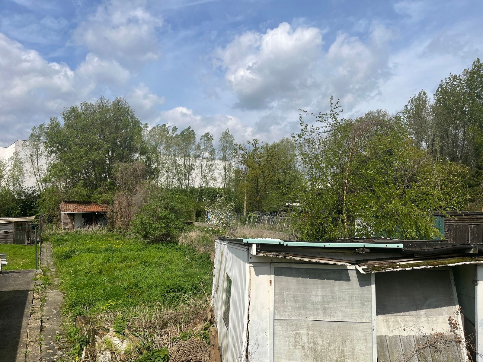 2 tuingronden in woonuitbreidingsgebied nabij de Vaart foto 8