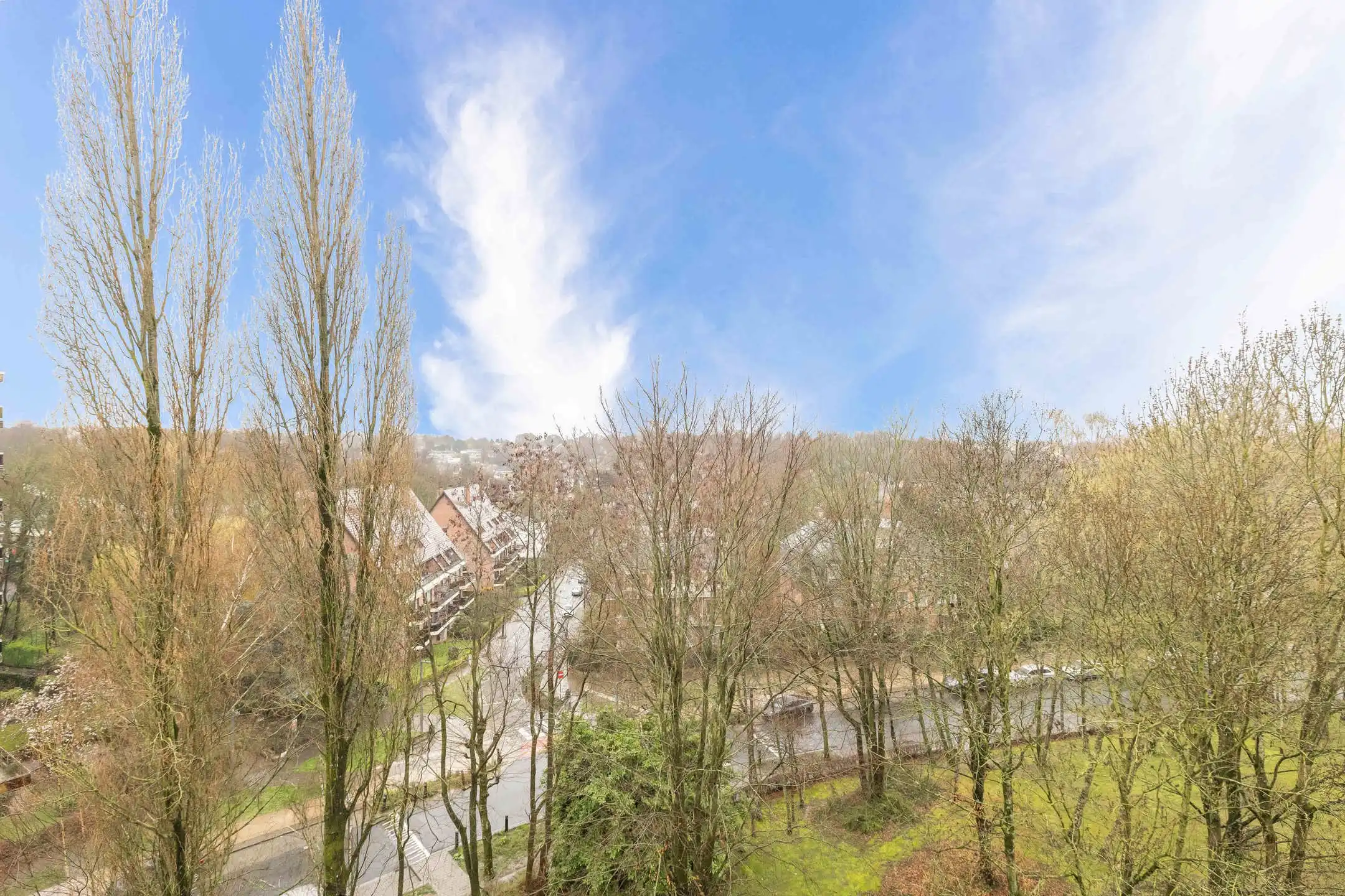 Licht en ruimte in het groene Parc Brugmann foto 30