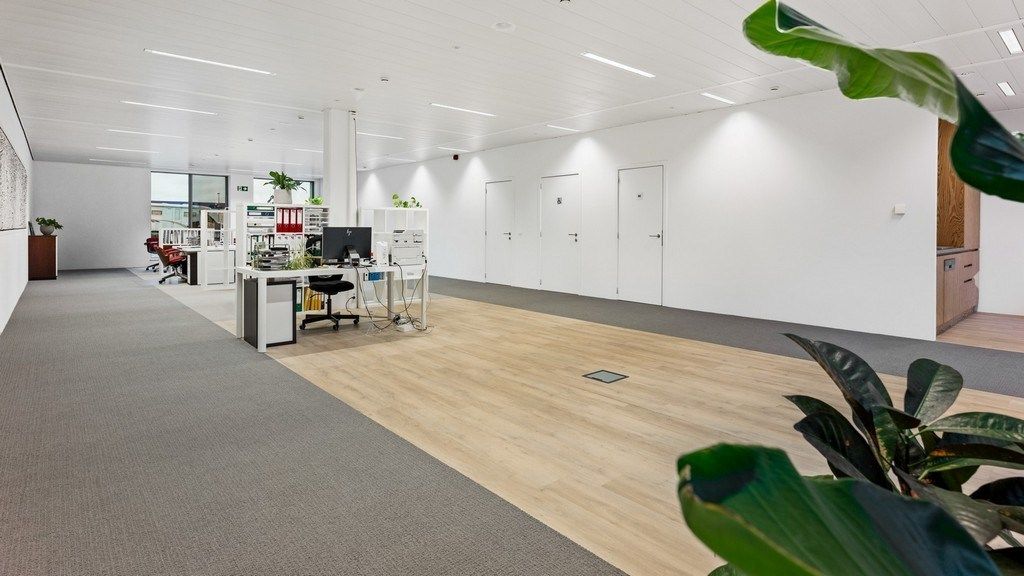 Commercieel gelijkvloers kantoor te koop op 't Eilandje in Antwerpen foto 6