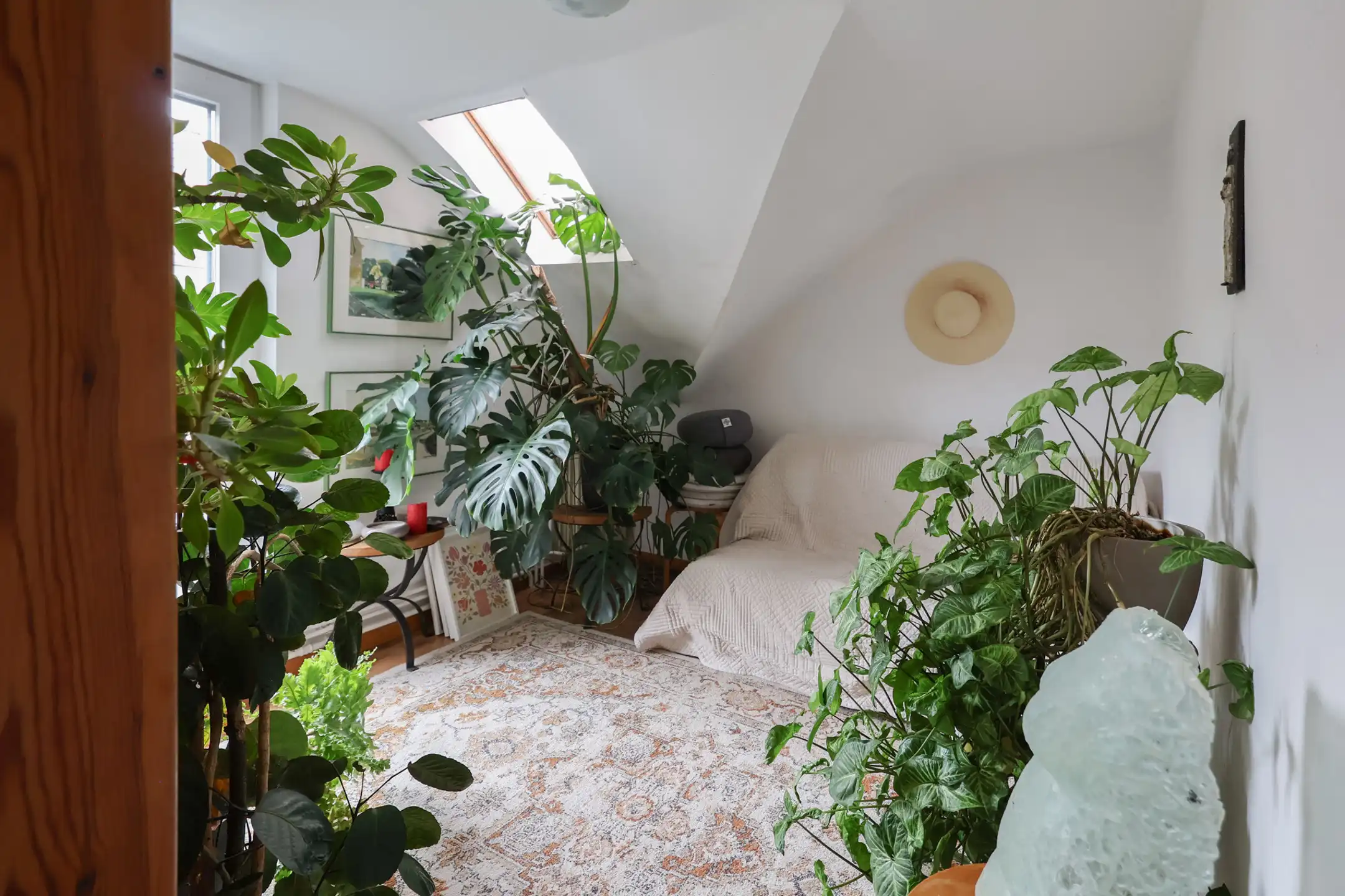 Huis te koop foto 5