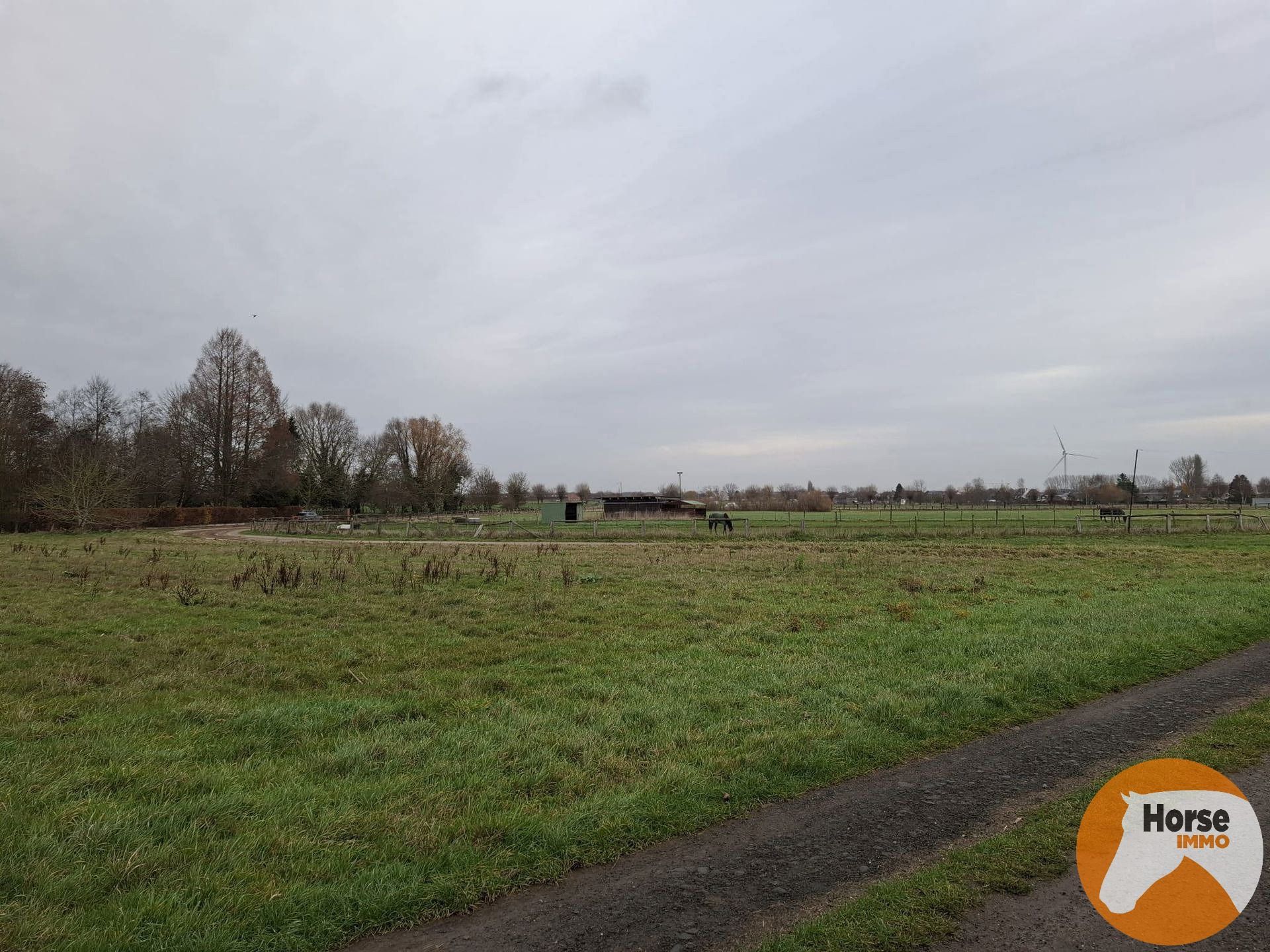 HAALTERT– Perceel weiland van 35a 76ca foto 3