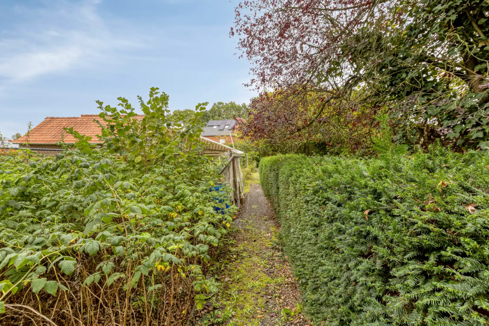 Te renoveren woning met 3 slaapkamers en ruime tuin op 1.065 m² te OLV Olen !  foto 21