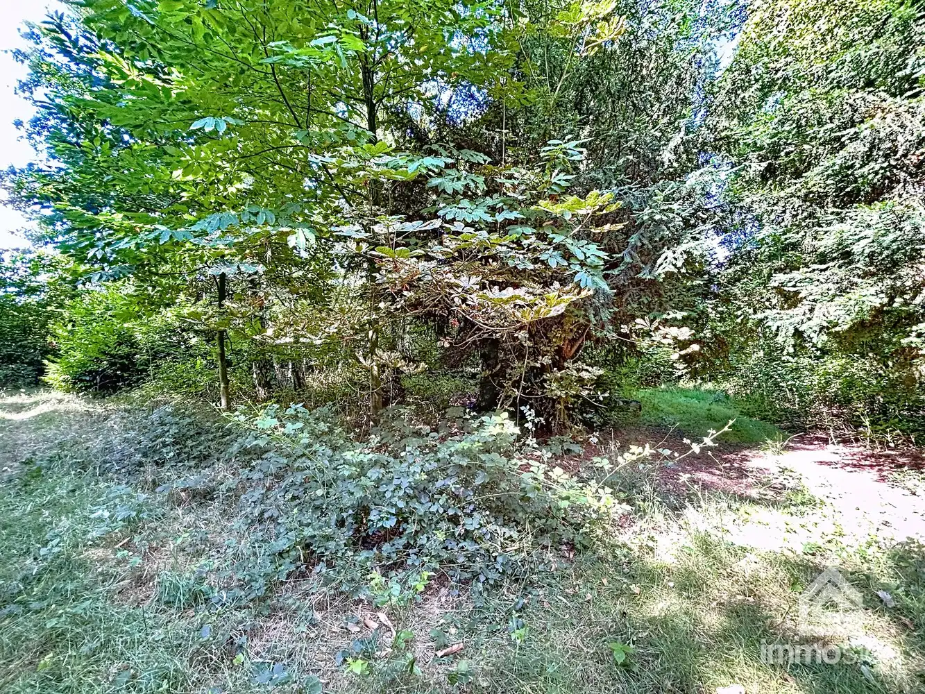 Uniek stuk grond van 9.050 m² in Grote-Brogel/Peer! foto 11