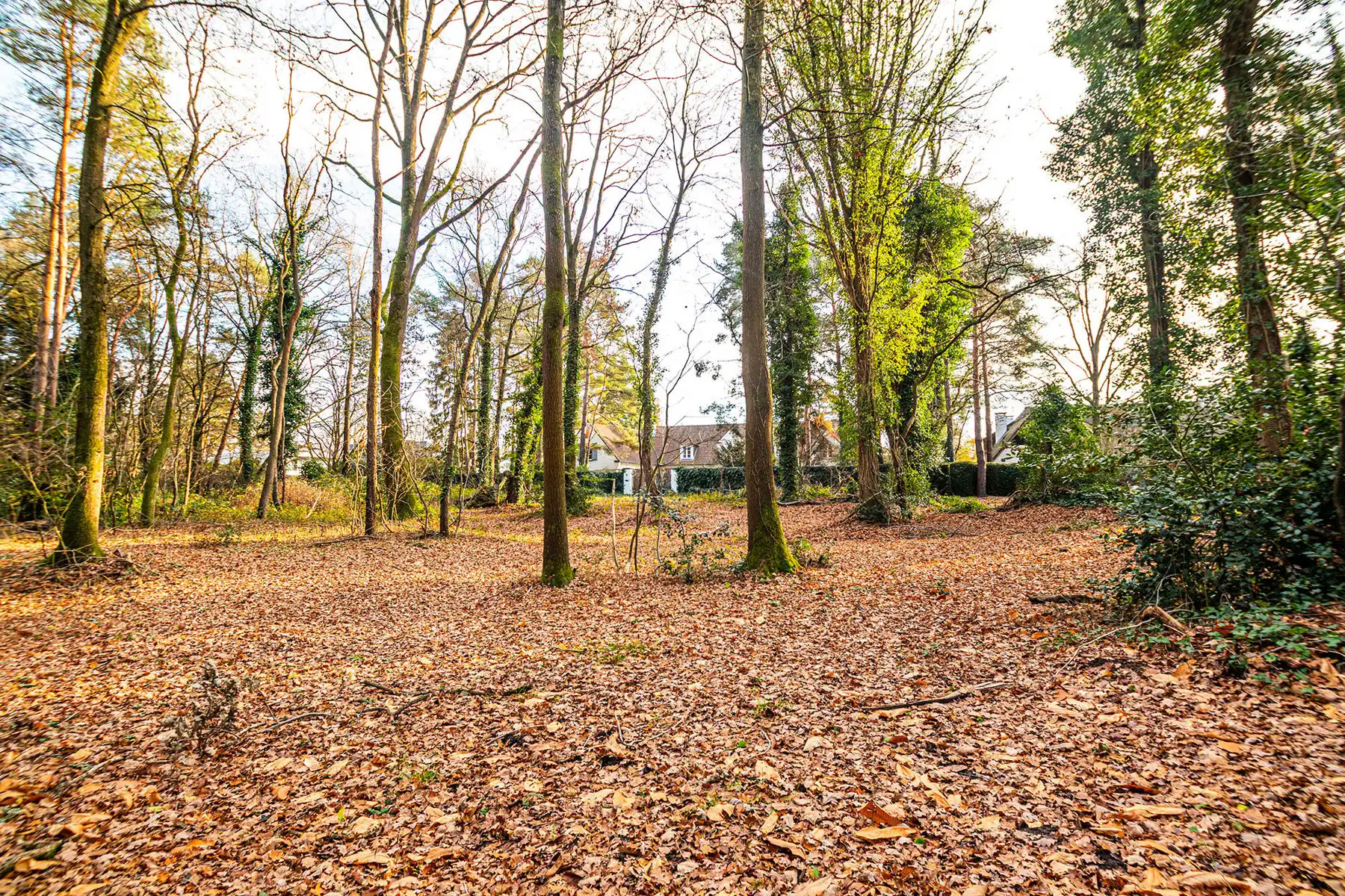 Exclusieve bouwgrond van 4.370 m² in “Golf & Meer”-domein foto 24