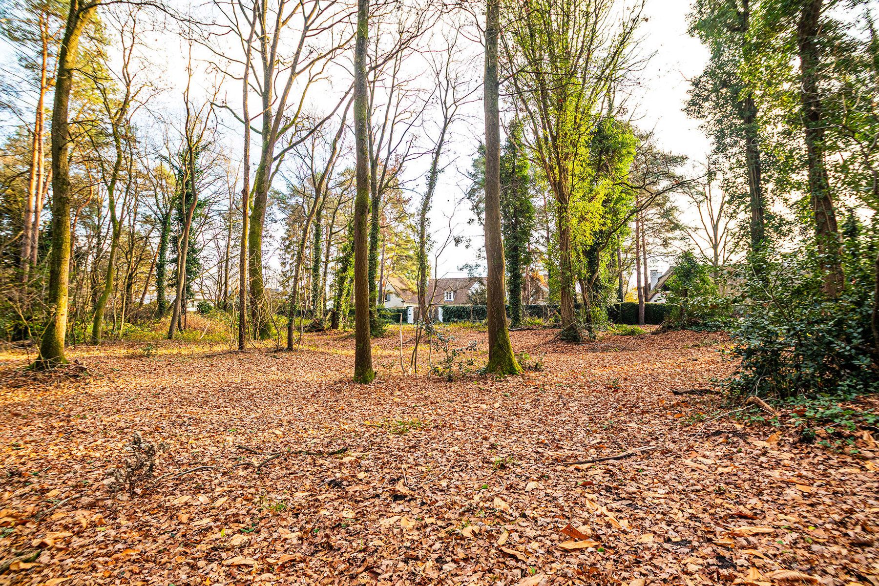 Exclusieve bouwgrond van 4.370 m² in “Golf & Meer”-domein foto 24