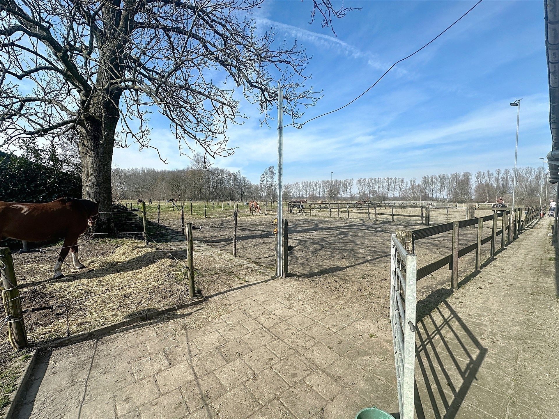 PRACHTIG GELEGEN HOEVE met bijgebouw, paardenstallen, binnenpiste en weiden op 18.385m² foto 45