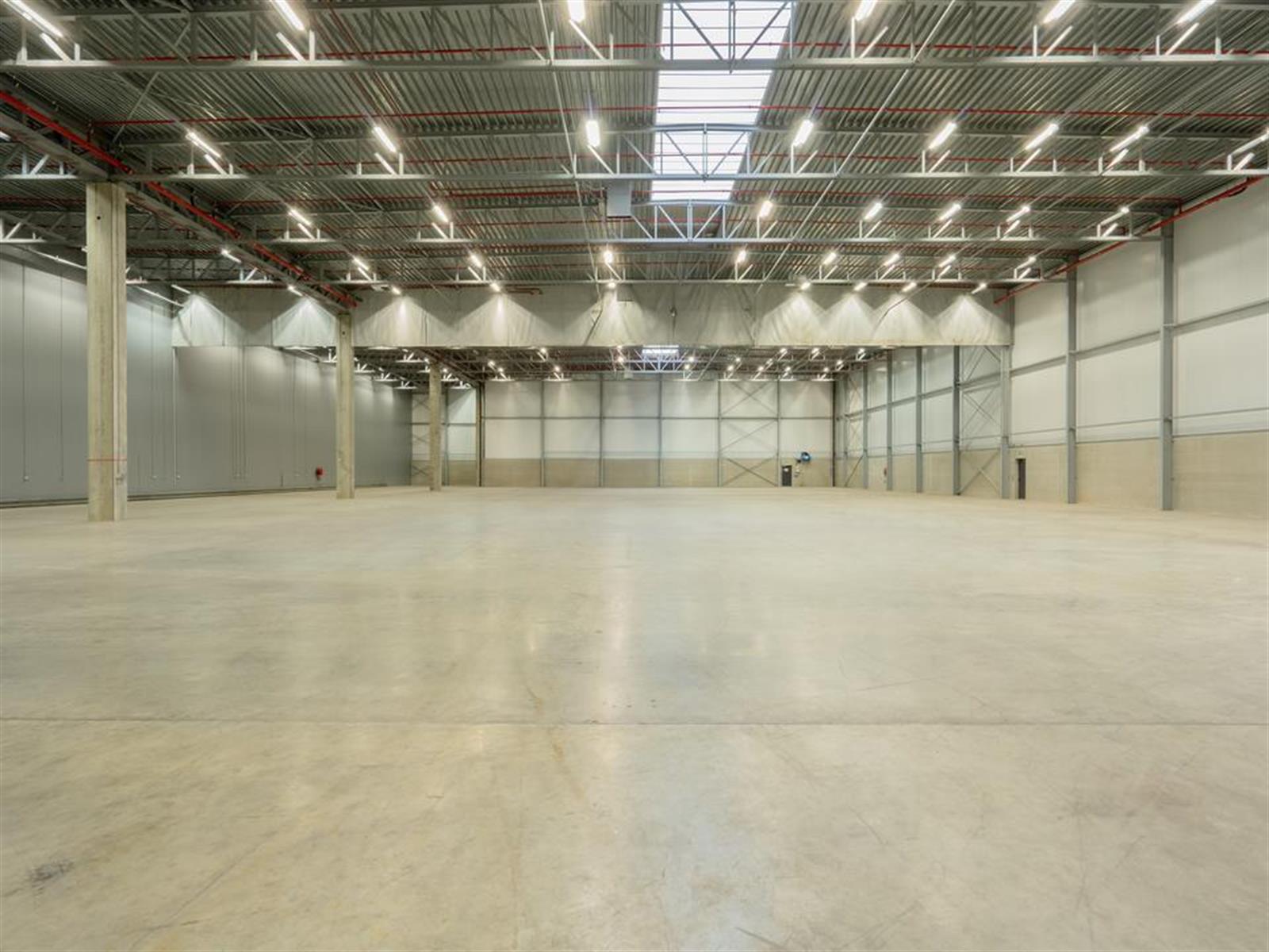 Gunstig gelegen logistieke site te huur  foto 7