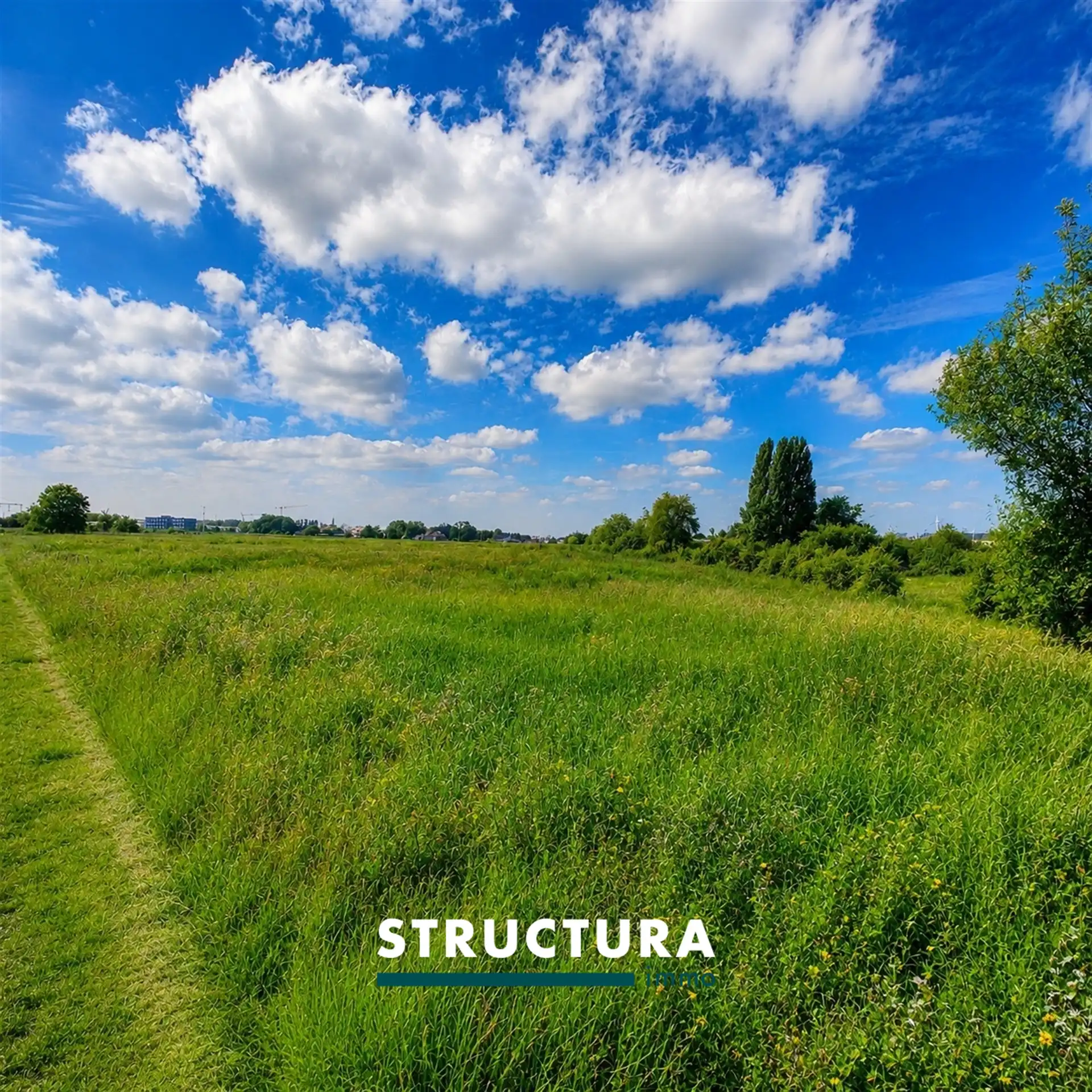 Landbouwgrond van 2,5 hectare foto 5
