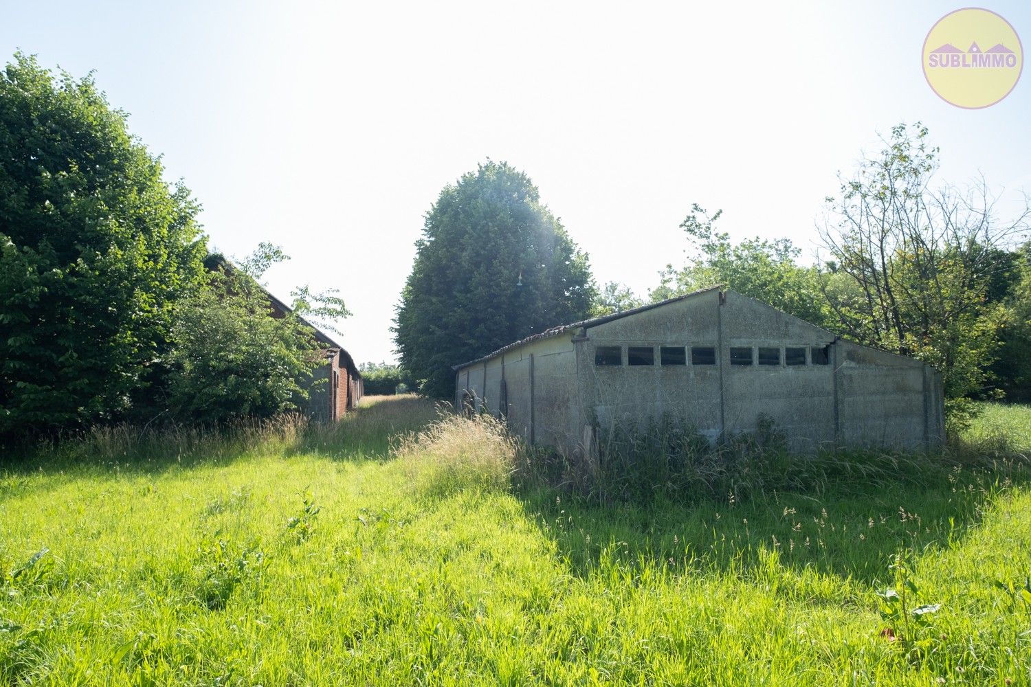 Te renoveren langgevelhoeve op unieke locatie in Balen – 18.729 m² grondoppervlakte foto 18