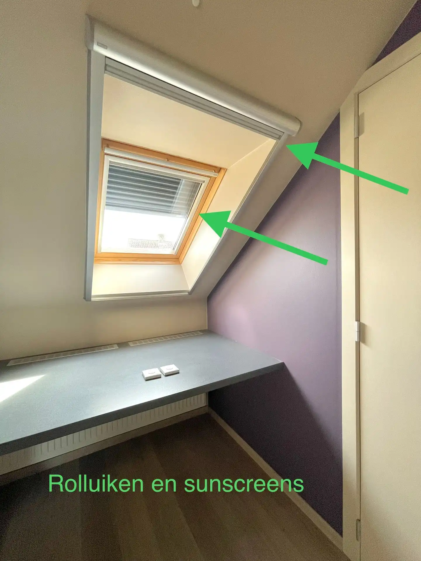 ENERGIEZUINIG GEBOUW MET 2 GROTE GARAGES - 553 M² foto 30