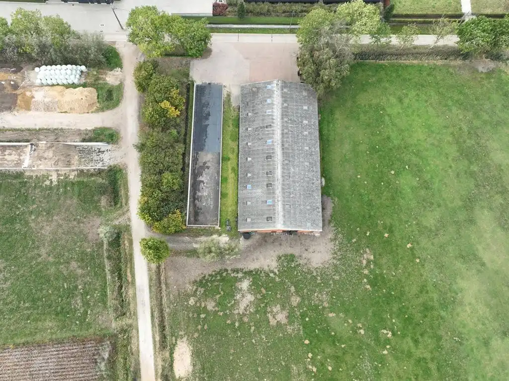 Stalgebouw te Loenhout foto 7