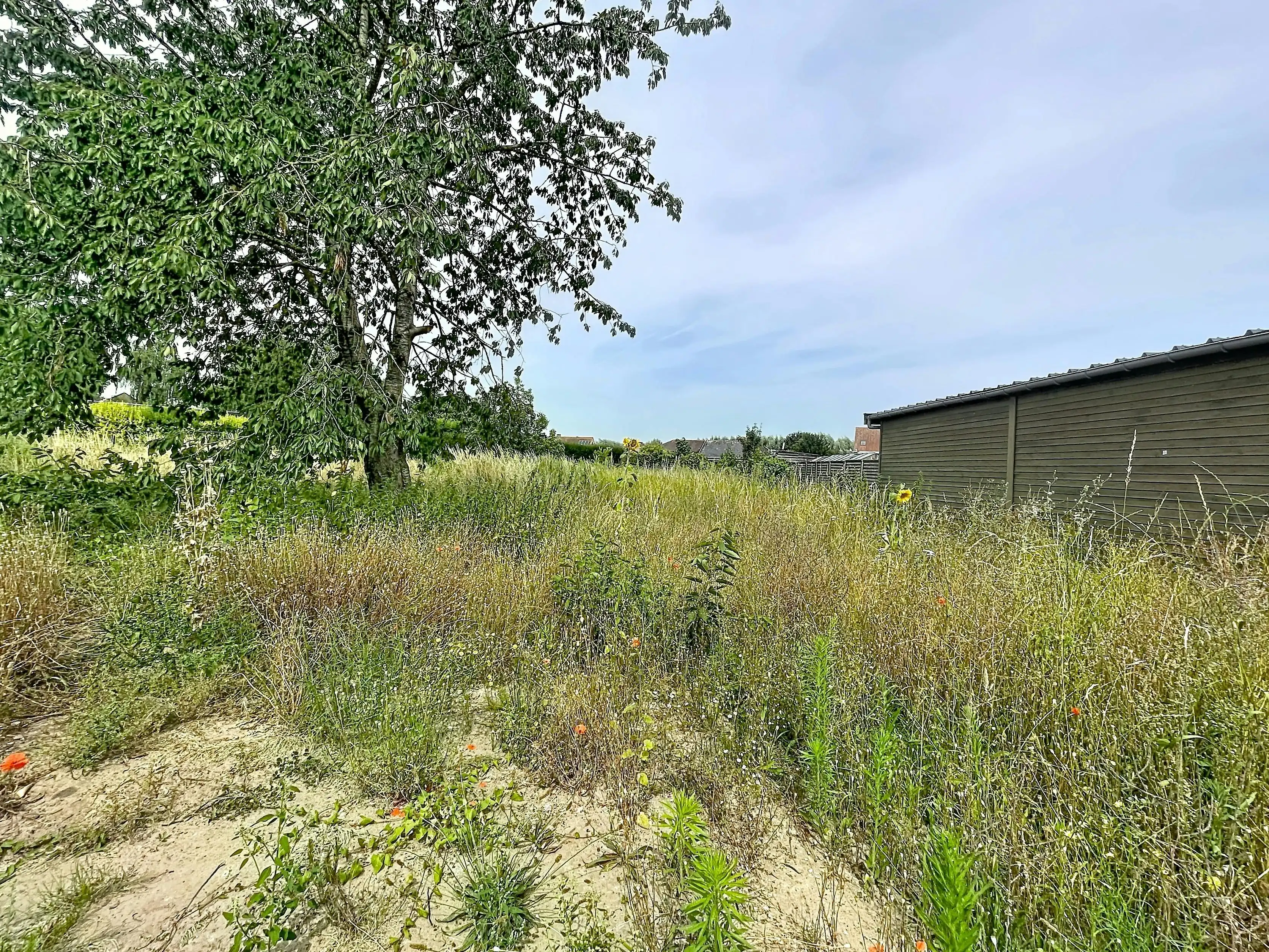 Residentieel gelegen bouwgrond (950m²) voor halfopen bebouwing in Aalter foto 6