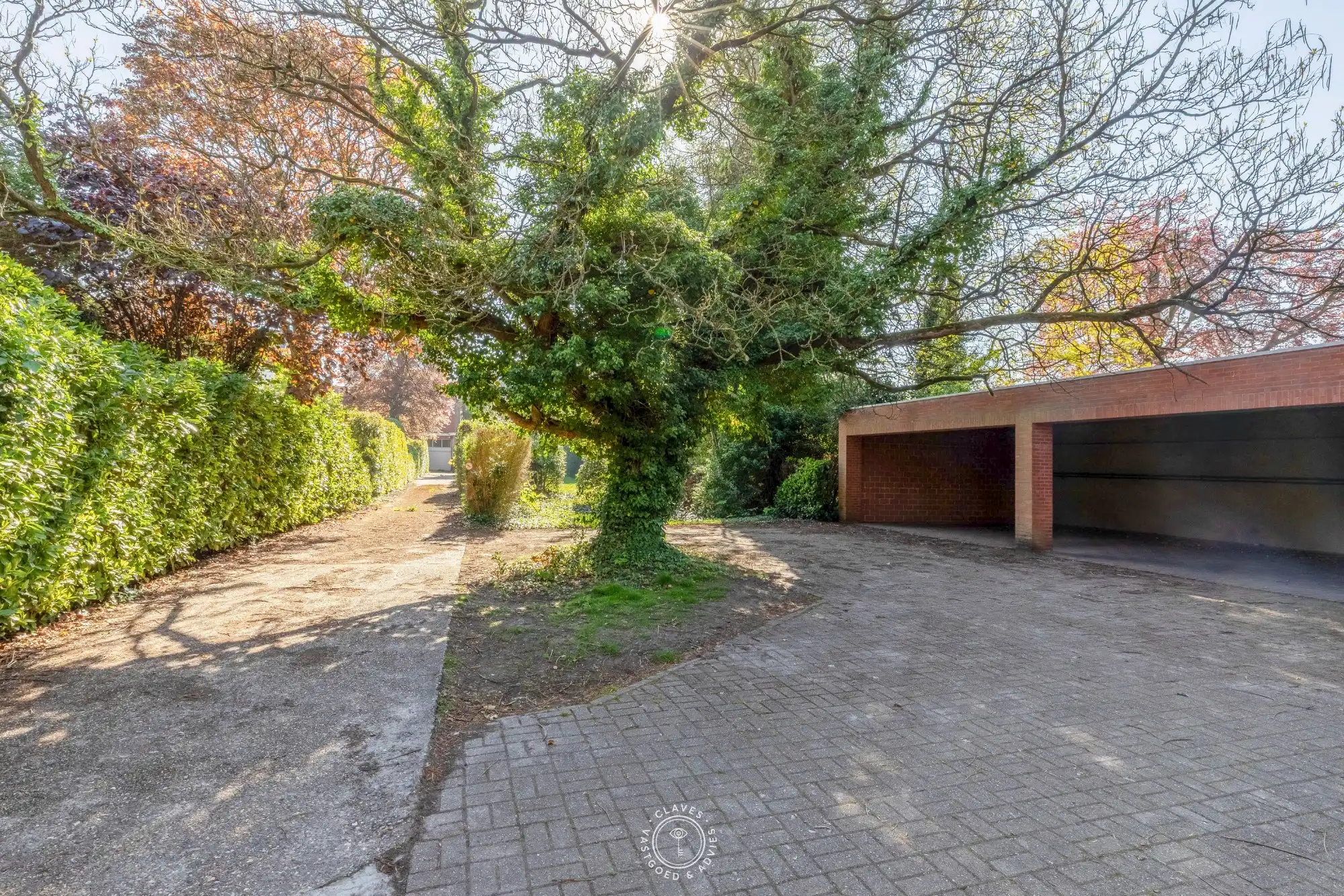 Bijzonder handelspand met een uitzonderlijk opwaarts potentieel en ontsluiting achteraan het perceel. foto 4