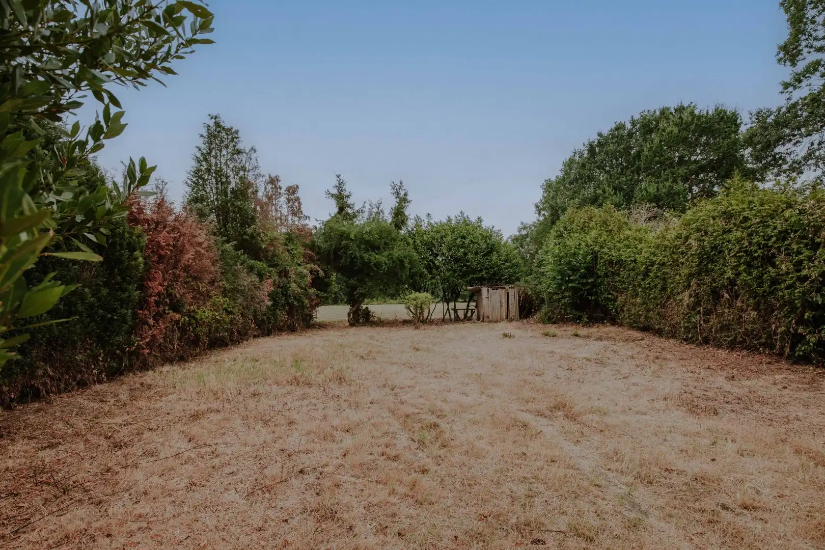 Gezinswoning met grote tuin en landelijk uitzicht foto 6