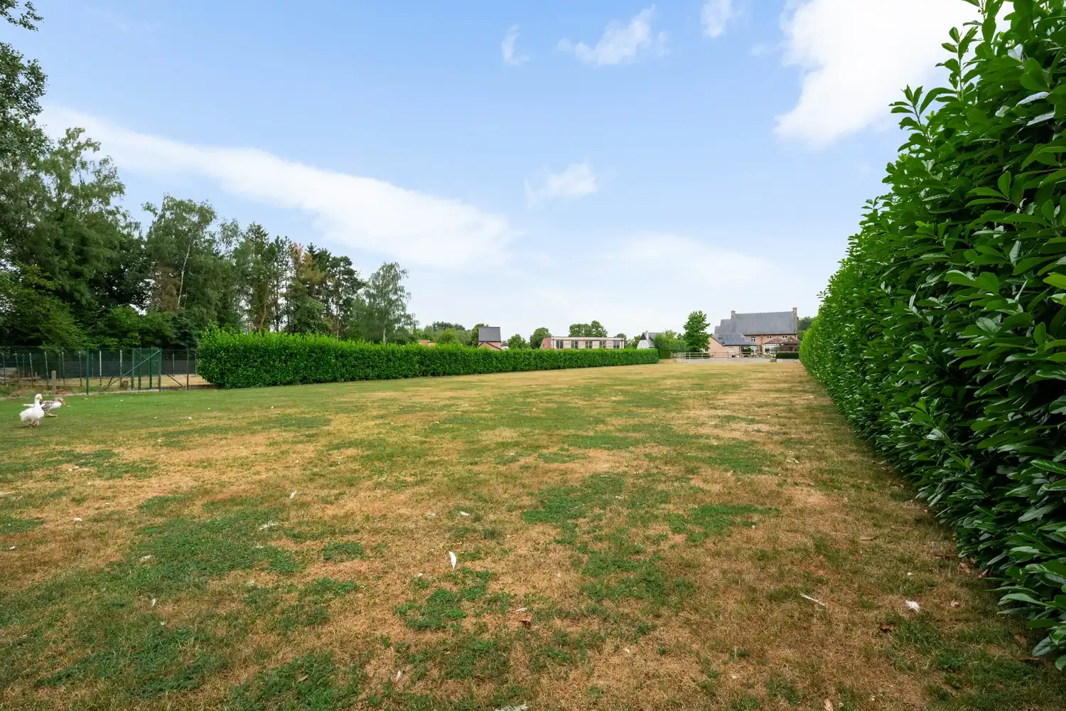 Exclusieve villa met 550 m² bewoonbare oppervlakte op een prachtig perceel van 5.458 m² nabij het centrum van Heist-op-den-Berg foto 47