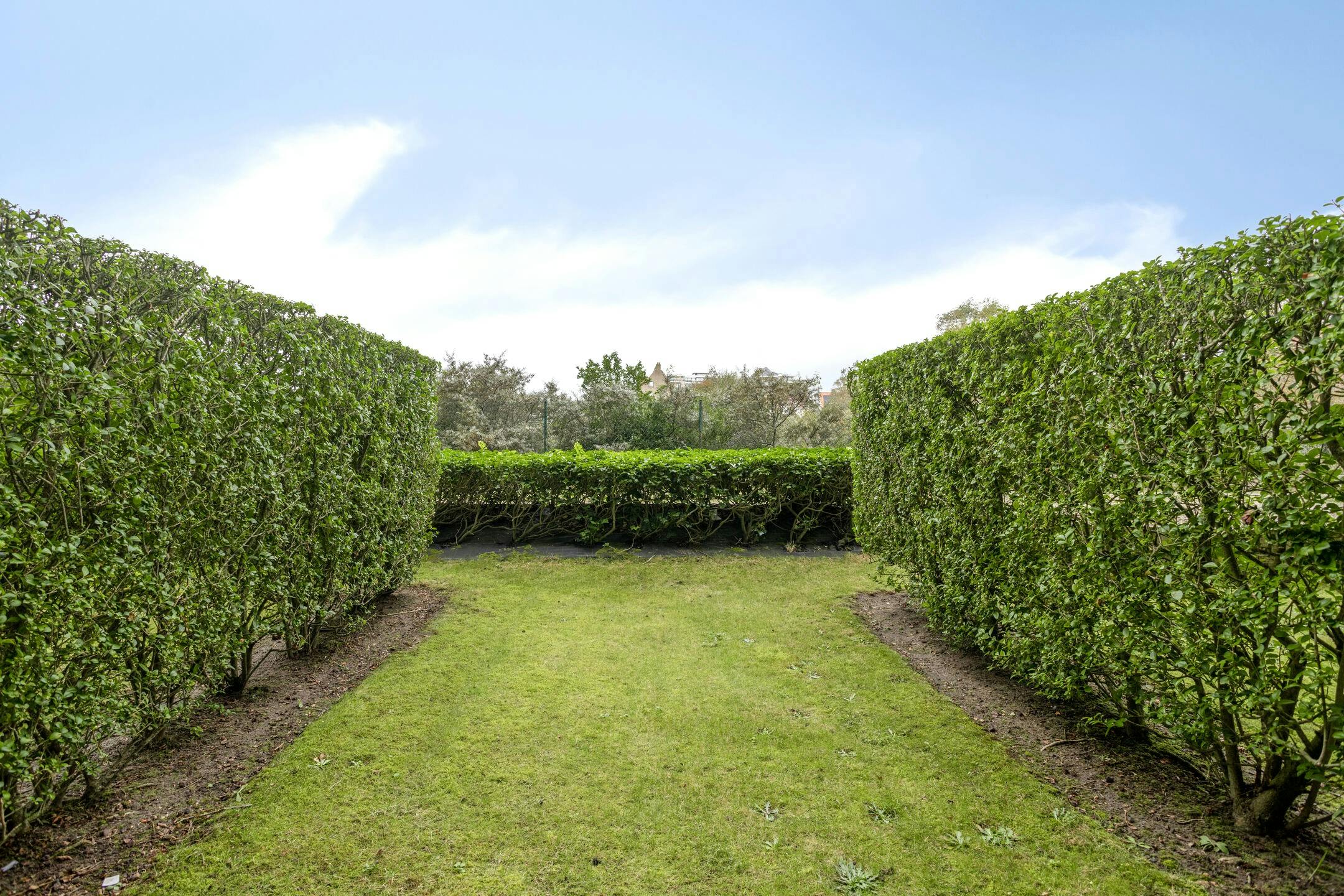 Appartement met 1 slaapkamer in residentie Promenade foto 7