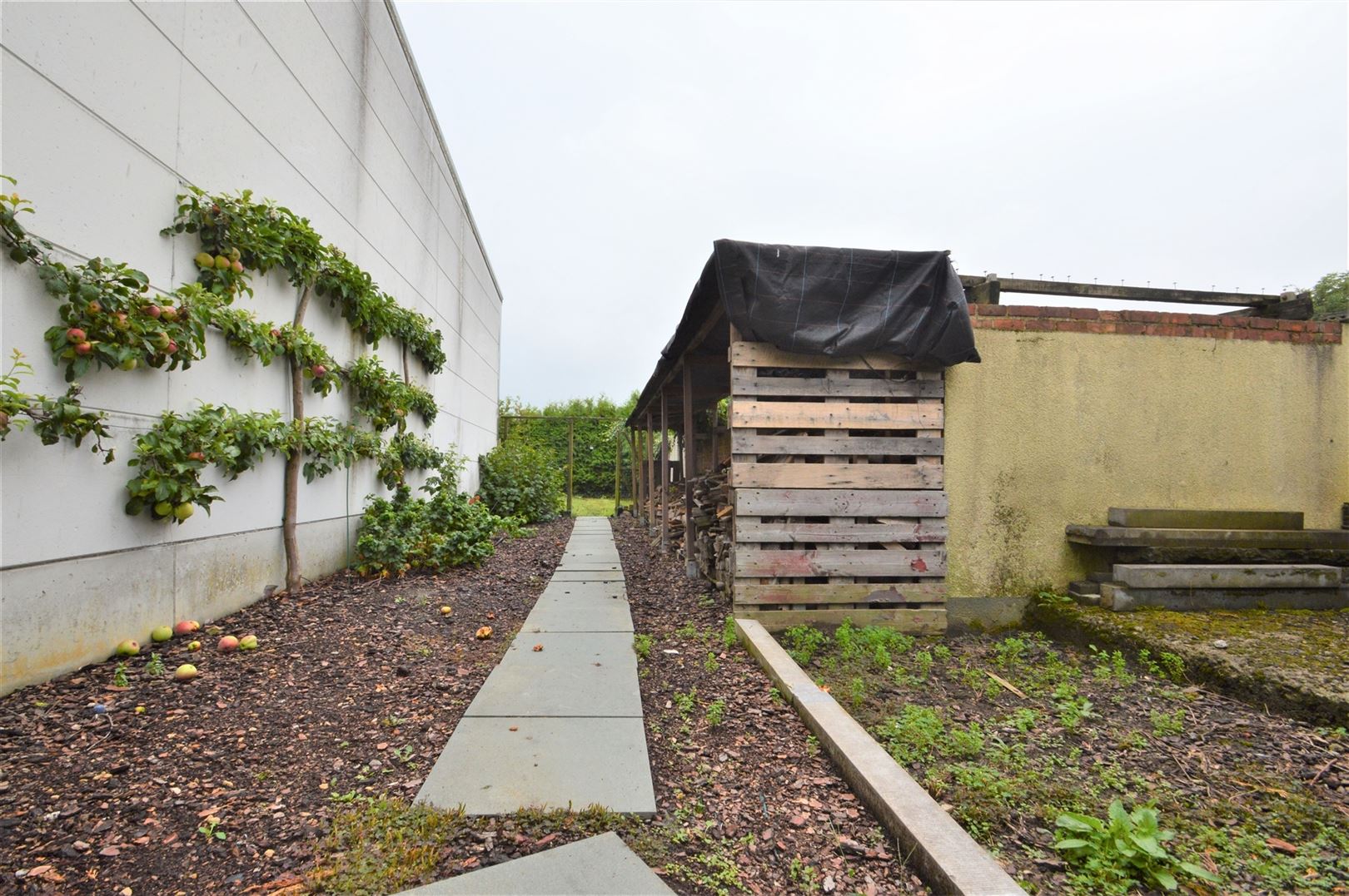 Mooie uitzonderlijke woning type open bebouwing bij Schelde foto 12