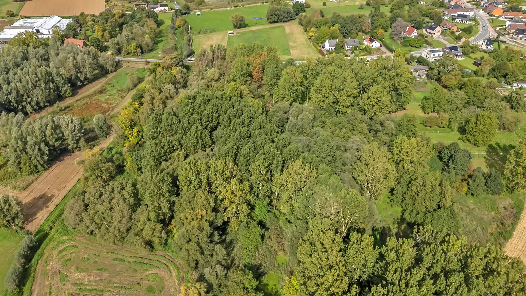 Perceel bosgrond van 5914 m² in Lennik foto 5