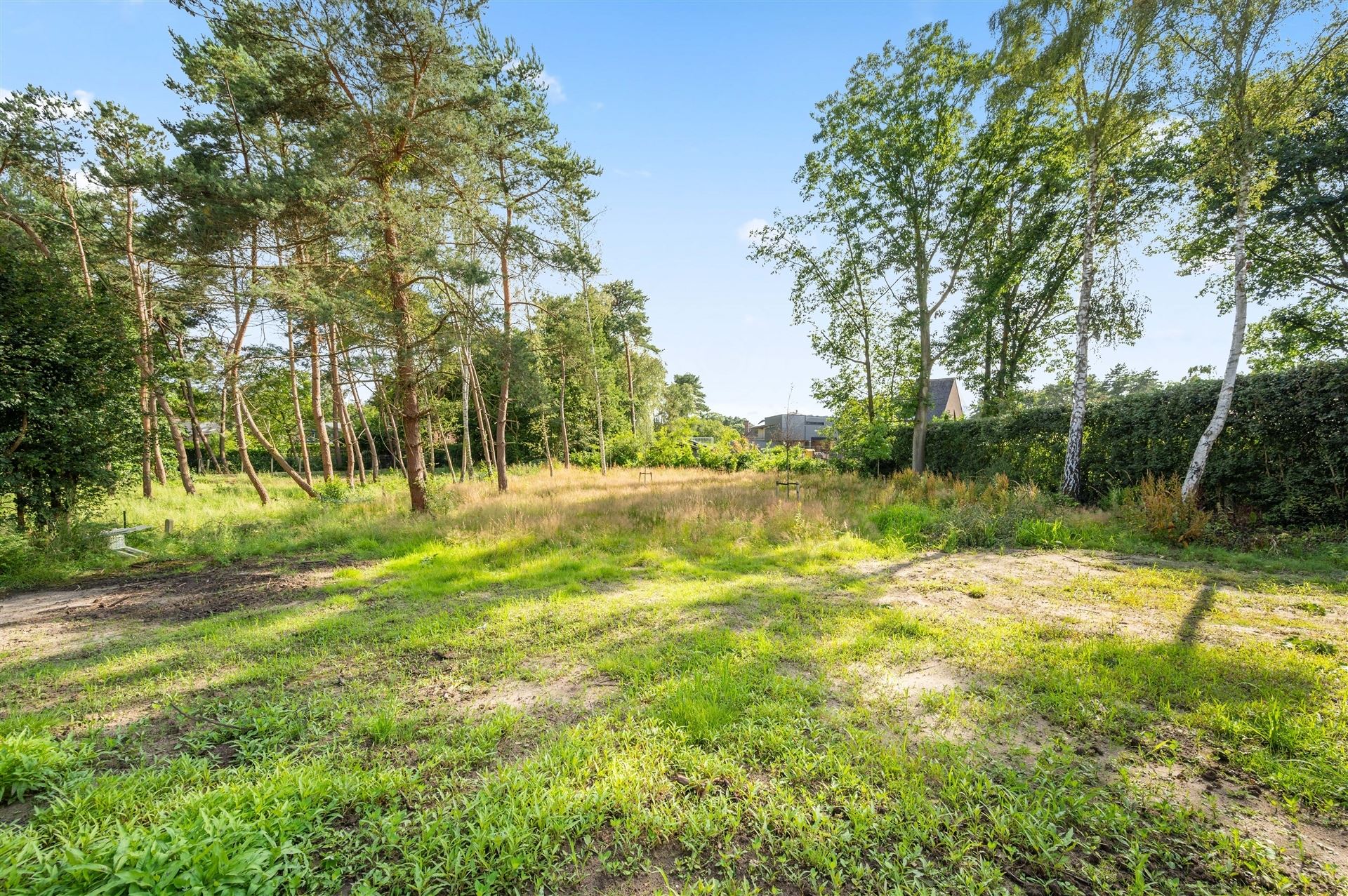 Volledig gerenoveerde woning met zuidwest gerichte tuin foto 2