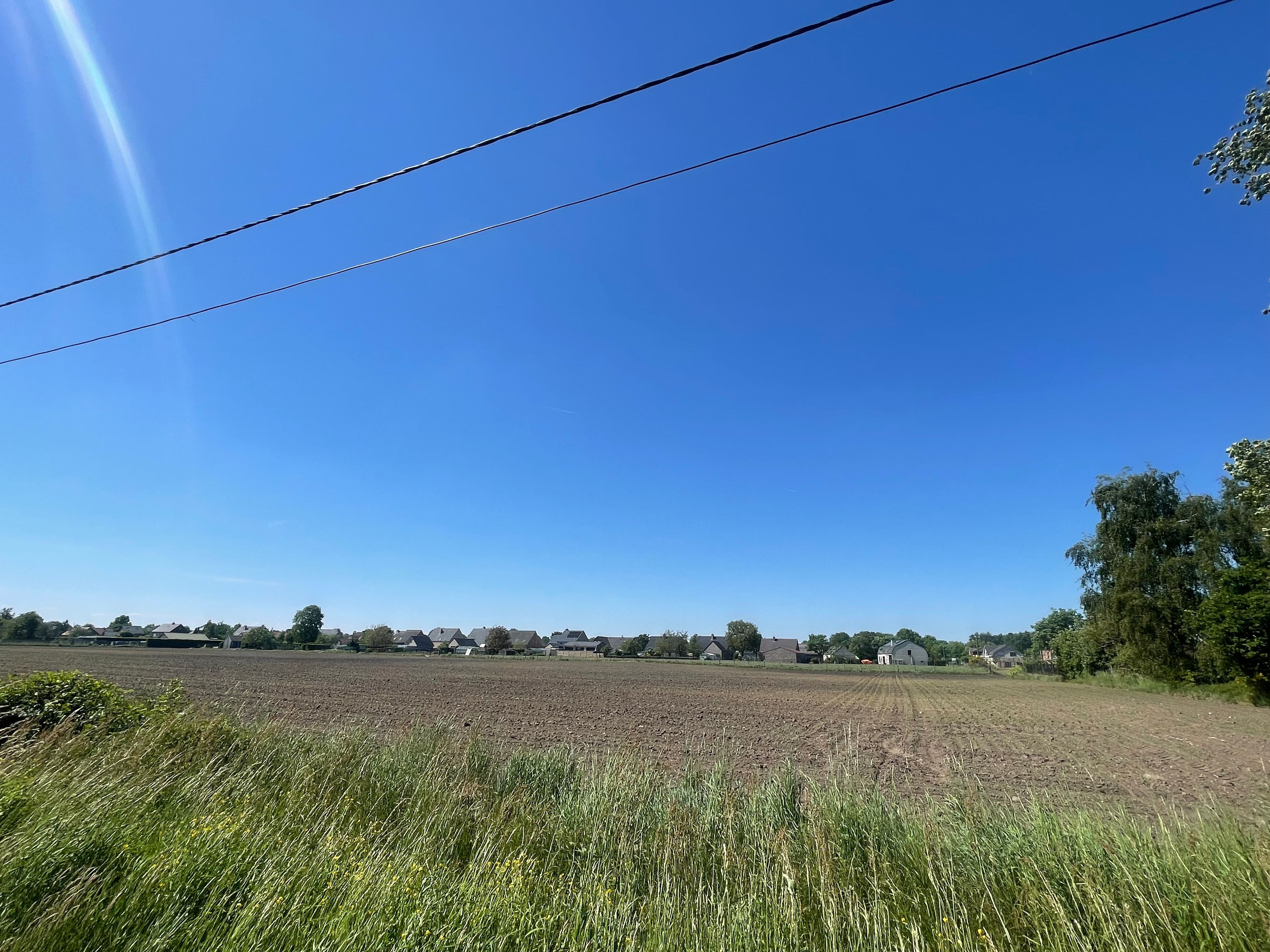 Te koop: Mooie landbouwgrond in de Zuiderstraat, Wauberg (25a 99ca) foto {{pictureIndex}}